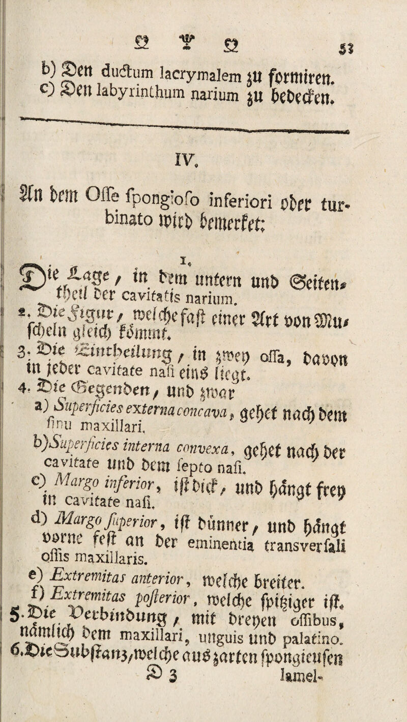 fi Y Q b) Sen dudum lacrymalem jtl fbrtttirett. c; Sen labyrinthum narium ju Behelfen. SS IV. bCJtt Offe fpongiofo inferiori ober lup. binsto wirb bniurttt -j. , i. in ^ltt tmb ©eiten. %« bet cavifatts narium. *m5r^W^/ wiefjefaft einer Sfrt »onüßu* fajeiit gietd) fdmtnf. 3. 2)te tcintpeätmcj / in $wet) offa, brtbott tlt je&et’ Cavitafe nafi eilld (fegt. 4, £>te CBegenben, unb «W a^-fn?axiilari^rMrm<'flWi' nö<J)Öent b) Superßcics interna convexa, nefief narft ber cavifare unb bem fepto nafi ' c) Marge inferior, tftt>Kf, Uttt> f>anat frCO tlt cavitafe nafi, a 1 y dlS’f?f™r’ w bünner, unb fcdngt Ut feß on ber emmentia transverfali ofiis maxillaris. e) -Extremjtas anterior, u>efrf)e Breiter. „ Pßx£mitas pofterior, weiche fpifyiaev iß. S-fvVatonbuns, mit brepett offibus, ?«» maxiilari, unguis unb palatino. o.ftJteaubjtnitj^eldjeaud^artenfpongicnfcii S> 3 lamel-