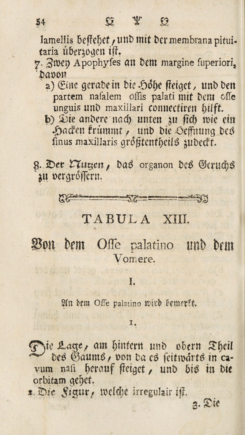 54 Si t £2 Jamellis BcfJc^Ct / Uttt> mit bet'membranapitui- faria überzogen iff. 7- 3n>ep Apophyfes an bellt margine fuperiori, ' basrnt a) (Sine gembe in tue -öobe fletget, unb ben pattem nafalem offis palati mit bellt offe unguis ttnb maxillari conitecfircit fyüft. fc) i)te anbere ttad) unten jn ftcf) wie ein Reefen frümmf / unb bie öeffttung beb ilnus maxillaris grö^tenf^eilö JUbecff. 8. iDet ringelt / basS organon beb @ctuci)b »ergrbflent. TABULA XIII. Soll tont Offe Palatino unb tollt Vomere. I. Stil feem Offe Palatino Kiffe fecntetft. I. ^Nie ilage/ am ^intern unb übern £f)eil ^ beb ©aurnb/ »on ba eb feitwdrtb in ca- vum naii herauf freiget, unb bis? in bie orbitam geltet, * bic. S'Swf rodete irregulair iß,