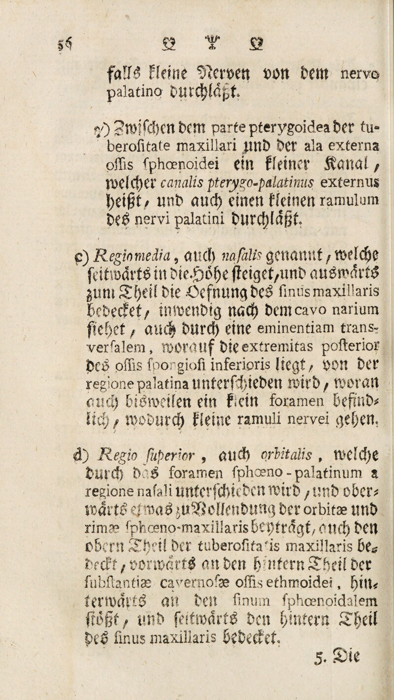 'äh? «5 £2 T S \ faUß Heine fernen non bent nervo palatino bUtdj(4fjt ?/) ?tt>ifä)cn t>em parte pterygoidea ber tu- berofitate maxillari jtnb bet ala externa offis fphoenoidei ein Heiner Ä'cuai / n>dc!)tr canalis pterygo-pdatinus externus / utib and) einen Weinen ramulum be£ nervi palatini blird}(4§f. c) Reginmedia, öltet) nafalis genannt f Vöddje feitnxJrttf in bie.öof)e fieiget,nnb aitsn'mt» £Um st)eil Die Oefnung bc3 finus maxillaris bebeefet/ tnmenbig nact) bemcavo narium fkf)tt f audj> burd) eine eminentiam trän Sr verfalem, worauf bteextremitas pofterior bcö offis fporgiofi inferioris liegt/ bO!t bei* regione paiatina tinterfdjieben wirb f woran and) btbii'eifen ein Hein foramen befiiib* iiä) f nwburci) Weine ramuli nervei geben, f / d) Regio fuperior , atid) orlitalis , ml$)t fcurcf) h-;:6 foramen fphoeno - palatinum a regione na(alillltfCtfd)tcbcntt)irt) /tmb ober? \x>äxt$ lU^älmbmq Der orbitse xmb rimae ^h^no'maxiilarisbeptrdgt/Otttf) bCU O&Ctit S£f)äf bet tuberofifais maxillaris bu fcrcft / tmmrfg an t>en fjutfetn Sfedf bet fubilantias cavernofae offis ethmoidel, f)i\u fetmdltg ai! best finum fphosnoidalem frivgf; mib fettodrfg bat fynHtn ST^ctl tnß finus maxillaris bebeefet 5- Sie