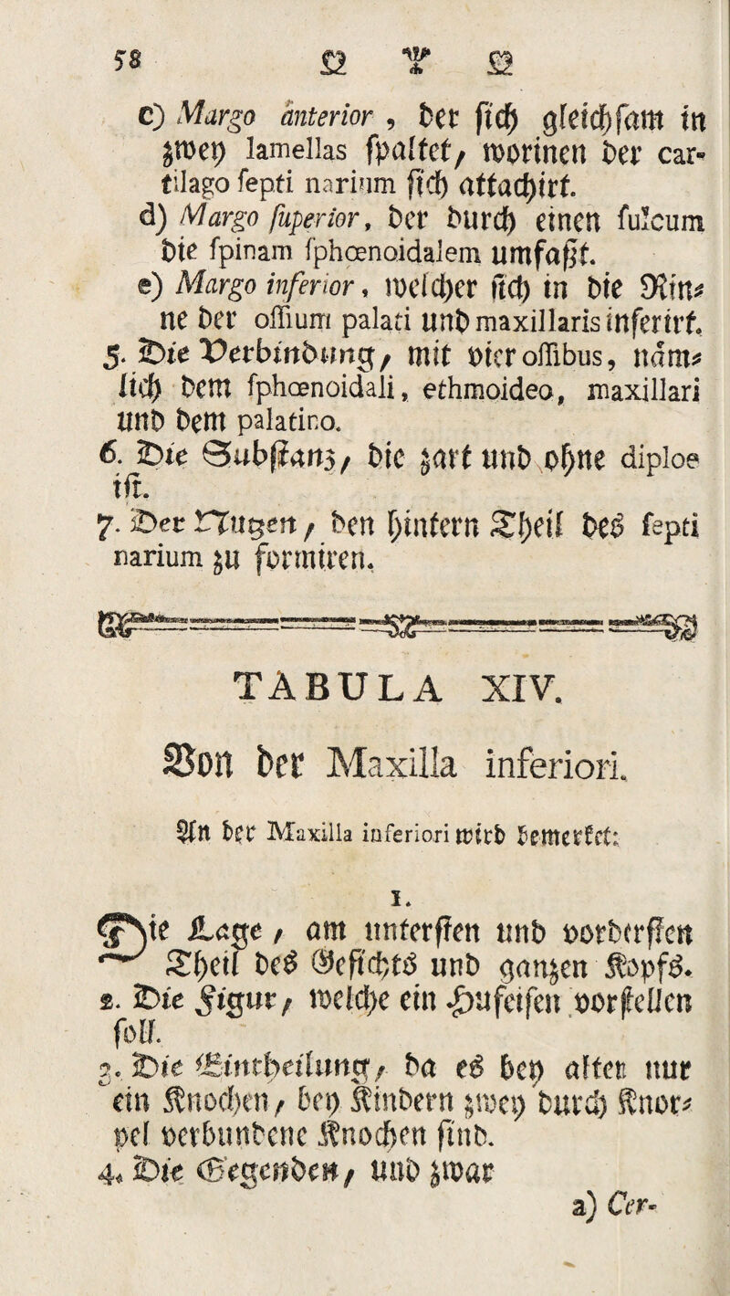•tt* SS C) Margo anterior , bet ftdj gfctdf)fam ttl Jtücp lamellas fpaffet/ TOOrincil bei’ car- tilago fepti narium ftcf) attactjirf. ä) Margo fuperier, bet' burcf) einen fu!cum bte fpinam Iphcenoidalem umfaßt, e) Margo inferior, HK’(d)er |Tct) tn t)tC 9JtU< ne bet’ offium palati unbmaxillarisinfemt. 5. töie Petbmbimg, mit üicr ollibus, ndm* * lief) bem fphcenoidaJi, ethmoideo, maxillari ttnb bem palatino. 6. 2)te Qfubffanj, btc jarf ttnb o^ne diploe ift. 7.2>ec nutzen, ben Ijmfcrit S’I)et{ beb fepti narium ju formiren, TABULA XIV. Son beb Maxilla inferiori. Sflt f>et Maxilla inferiori trieb rittut'frt: I. ^*\te Lege, am nntetfien «nb potbtrffen Sf>ctl beb @eftd;tb unb ganzen Sfopfb. 2. 2>te ^tgut f meldjte ein ^tufetfett »orficlicn folf. ?. hie fBmtbetlutttty ba eb bep affen nur * ein $nocf)en / bei) Slmbern jroet) burd) Knor* »ef »crbmibcnc noeben ftitb. 4« ÜDtc (Begcttbe»/ unb &wat a) Cer-