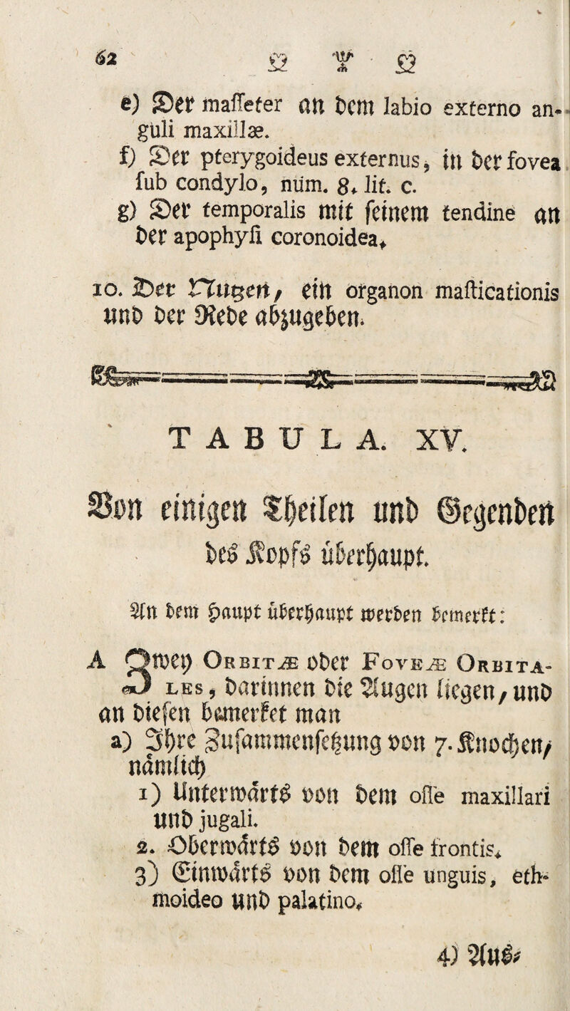 S2 t S2 e) Ser maffeter an Dem labio externo an- guli maxillae. f) Sec pterygoideus exfernus, ttt Per fovea fub condylo, mim. 8. lit. c. g) Set* femporalis mit feinem tendine an t>er apophyfi coronoidea, 10. s£>et rtutscrif ein organon mafticationis «nt> t>er DfePe «bjugeben. TABULA. XV. Son einigen feilen unb ©egenbert beS jt'ßpf£ «behaupt. Sin bern £mupt überljaupt »erben temerft: A Omet) Orbitae ober Fove^e Orbita- m) les, Patinnen Pie beugen liegen/unP an Piefen banetfet man a) 3f)re Sufaromenfcfjung »on 7. Änodjen/ ndnilid) 1) Untecmdrt^ t)0n Peilt ofle maxillari UttP jugali. 2. ObentKfrfS »on Pem ofle trontis* 3) (EinWitrtö non Pem ofle unguis, eth- moideo «nP palatino. 4) 2fo*