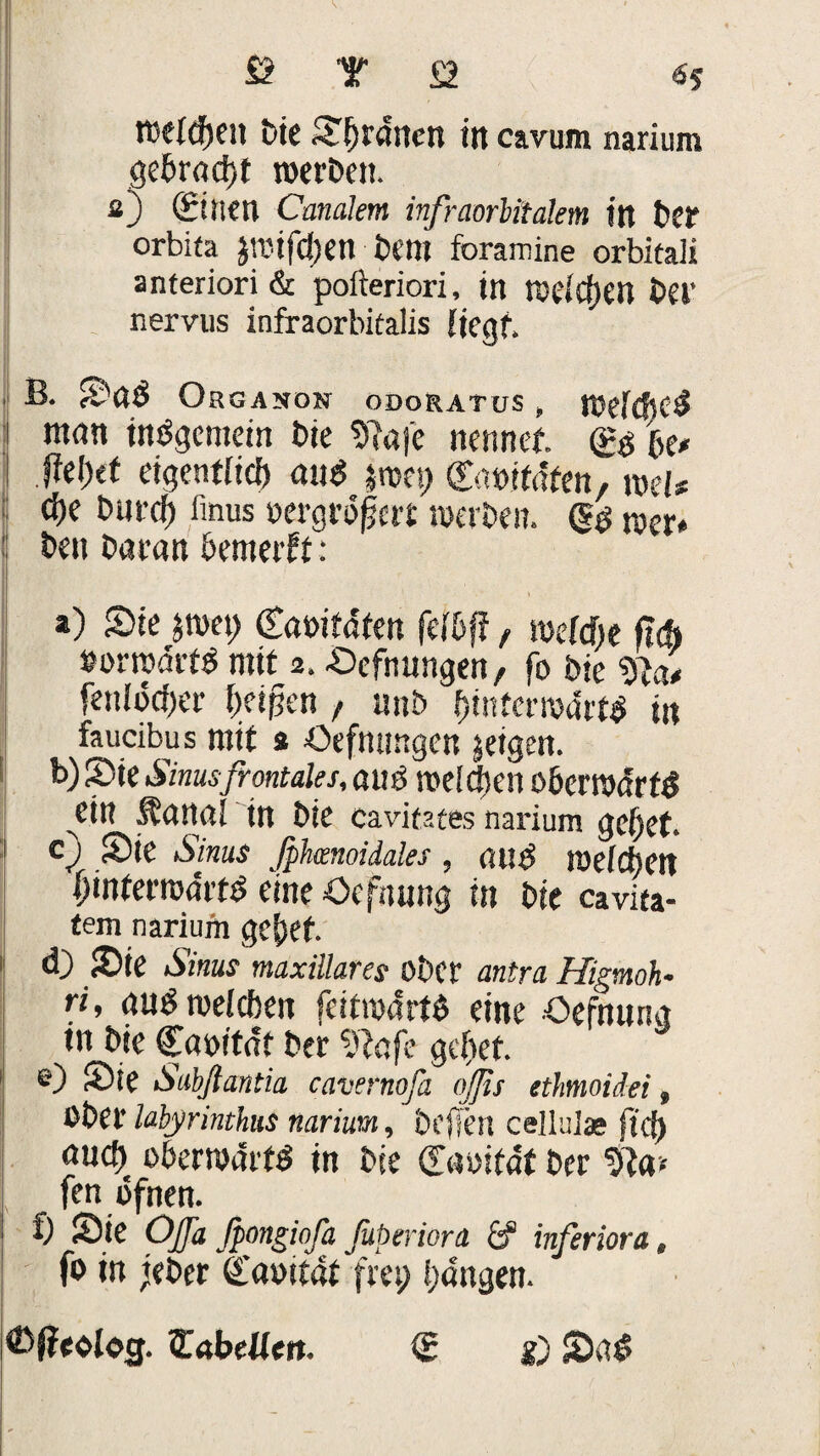 Öls «s tt)eld)nt Die S()rattcn in cavum narium gedrad)f werben. sj (Einen Canalem infraorhitalem in bcr orbifa J’i'ifd)en betlt foramine orbitaii anteriori & pofteriori, in tüeicfjen bet' nervus infraorbkalis fiegf. B. SaÖ Orgason oooratus , Weichet? ntnn insgemein Die 3?afe nennet ftefHt eigentlich au* $n>et) Crtötfdfen, mU cfK but-cf) finus oergröfjcrt werben. (£$ «er» beit Daran bemerk: a) Sie $wet) (Eaoifaten felhff, welche fleh »orrcärfS mit 2. Sefnungen, fo Die %la* fettlddjer beißen , unb ^tntem>atrt^ tu faucibus mit a öefmutgen jetgen. b) Sie Sinus frontales, atti3 weichen oherwtfrf* ein Äanal in Die cavitates narium gebet. c) Sie Sinus fphomoidales, au* welchen f)inferwa‘rt* eine öefnung in Die cavita- tem narium gebet ä) Ste Sinus maxillares ober antra Higmoh- ri, aus welchen feitwdrtd eine Oefnung in Die Caottat Der 5Jlafe gehet e) Sie Sabßantia cavernofa ojjis ethmoidei, Ober labyrinthus narium, befielt ceilulae fiel) auch oberwart* in bie (Eaoitat ber fen üfnen. t) Sie Ojfa fpongiofa Jüperiora & inferiora, fo in teber 4’aoitat frei; bangen. Qßtehg. Tabellen. <£ g) Sa*