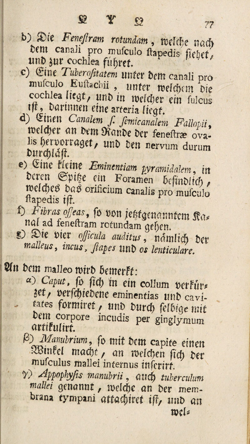 b^) A. ie Feneßr.iivi rotundatn 9 ißefefje fccttl canaji pro mufculo ftapedis fiehet IttiÖ Jur Cochlea füfjret. c) Sine Tuberofitatem unter hem canali pro mufculo Euftacbii , unter tuefcfum hie cocLea liegt, unh in welcher ein fulcus tft, txmnnen «ne arteria liegt. d) Sir.en Canalem f. femicanalem Fallopii, rccldjer nn hem 9f<tnhe her feneftae ova* nervum durum e) (Eine Keine Emintntiam pyramidalem, in tCl5? e*n Foramen hcftnhlief), melcljeh hfih orificium canalis pro mufculo ftapedis tft. f) Fibrös ojjeas, ft> von je$f genanntem nCil ad leneitram rofundam i) Sie hier ojjmla auiitus, nämlich her malleus, incus, ftapes unh os lenticalare. 8(n hem maileo roirh hemerft : «) Caput, fß fift) m ein collum »erFur* jet, üerfdnehene eminentias unh cavi- - *ates formiret, unh hurefr felbrge mit corPore incudis per ginglymum ortifulirt. ßlManulrium, fo mit hem capite einen ^binfel macht, on welchen (ich her mufculus mallei internus ilifcrirt. -dppophyßs manubrii, aitcf) tuhercuhini malki genannr, melcfte an her mem- brana tympani «tfä^iret ift, unh an mU