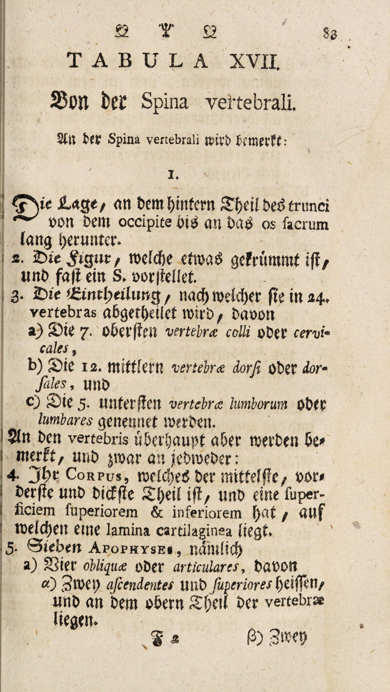 TABULA XVII. S5on bei* Spina vertebrali. Sftt fcft? Spina vertebrali fyxtitX11 I. i an bem Rufern £f>eil beb fntnri ‘ t>on Dem occipite bib au baei os facrum lang herunter. I s. 2>tc #gut, roetc&e etwas gefrümmt iff, unb fall ein S. »orjlellet ; 3. 2)ie *£intl)tihmg, nadf) meiner fte tu 24. vertebras a6geti)eticf wirb f bUöon a) Ste 7. oberjlfü vertebret colli ©Der cervi• cales , b) Sie 12. mittlern vertebr £ dorfi ober dor* fales, UUD c) Sie 5. unteren vertebr& hmborm ober lumbares genennet werben. $ln,ben vertebris überhaupt aber werben be* »werft, unb jwar an jebweber: 4. 3f)c Corpus, welches Der mitf elfte, »er* j berfte unb bibfffe S(>eil tft, unb eine fuper- i ficiem fuperiorem & inferiorem l)at , auf i! weichen eine lamina cartilaginea liegt 5* Sieben Apophyse», ndm(icf) a) Sier obltquce ober articulares, babOlt «) 3wet) afiendentes unbßpcrioresfyeiffetl/ unb an Dem o&ern Sfieil Der vertebr* liegen. $ * ß) 3m %