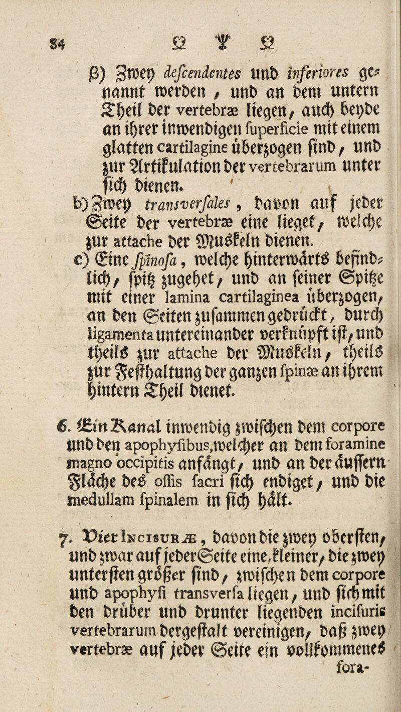 ß) StWt) defcendentes Unb inferiores ge? nannf roerben , unb «n Dem untern 2f>etl bet vertebrae liegen, aud) bet)be an ihrer tnroenbigen fuperficie mit einem glatten cartilagine überzogen ftnb, unb jur $(rtifulation bet vertebrarum unter fiel) bienen. b) 3roep transverfäles , baren auf jeber ©eite ber vertebrae eine lieget/ roeldjc jur attache ber 3)?u$!efn bienen. c) (£intfpmofa, meiere hinterrodrtd bepnb* lid> , fpifc jugehet , unb an feiner ©pißc mit einer lamina cartilaginea überzogen, an ben ©eiten pfammengebrtidft, burd) Jigamenta untereinanber »erfntipft ifi, unb thetld tur attache ber Slubbeln, tljcild jur ^eflbaltung ber ganzen fpinae an ihrem hintern £f)eil btenet. 6. i£in Kanal inrcenbig $roifd)en bent corpore unb ben apophyfibus,meiner an bent foramine magno occipitisanfdngt/ unb an beräuffern $läd)e bee offis facri fiel) enbiget , unb bie medullam fpinalem in ftef) l)dlt. 7. DtetiNcisuRjE, baron bie jroep oöerffert/ unb $mar auf jeber@eite eine, Heiner/ bie $roet) unterfien großer ftnb, jmifdten bem corpore Unb apophyfi transverfaliegen, Utlb ft ft)mit ben brtiber unb brunter liegenben incifuris vertebrarum bergeffalt bereinigen, baf? &roet> vertebrae auf jeber ©eite ein boUfommene* fora-