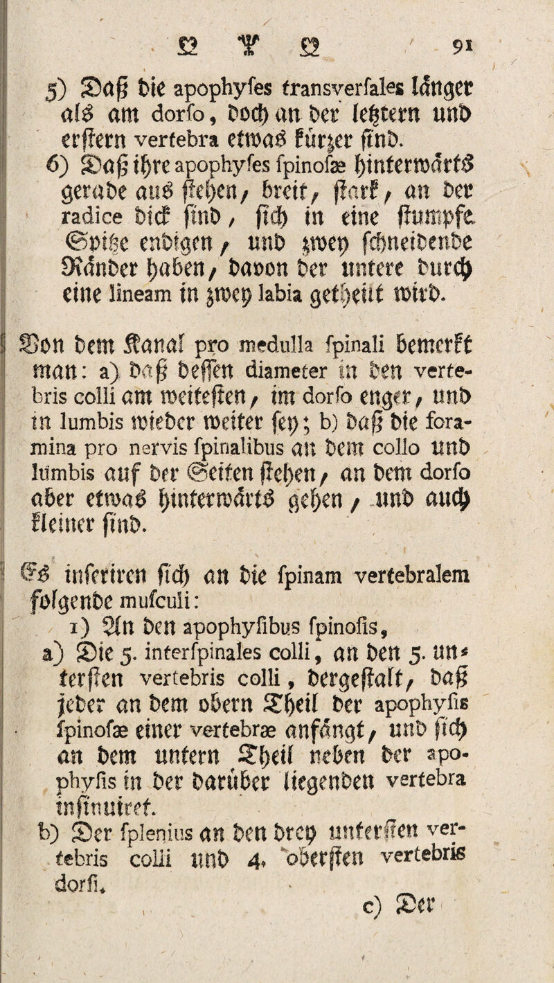 1 \ . 5) Sd§ bie apophyfes transversales langet a!P am dorfo, t>oct> an bet leptern unb erffern verfebra etroa$ fürjcr ftnb. 6) S)a^t^re apophyfes fpinofe binterrodrt# gerabe aus fiepen, breit, fiarf, an bet radice btef fi’nb, ft«J) in eine fhimpft &pi$e enbigen, unb pep fc&neibenbe Dfdnber tjaben, baoon ber untere burep eine lineam in pep labia get&etif tbirb. ! Son bent Äanal pro medulla fpinali bemerrt man: a) bafj belfert diameter in ben verte- bris colli am weiteren, im dorfo enget, unb in lumbis rnieber weiter fep; b) bafj bie fora- mina pro nervis fpinalibus an bem collo unb lumbis auf ber @eiten fiepen, an bem dorfo aber etwaö btntermdrib geben, unb auep «einer finb. inferiren fiep an bte fpinam vertebralem fofgenbe mufeuii: i) 2Ctt ben apophyfibus fpinofis, a) Sie 5. interfpinales colli, an bett 5. Utt* terffen vertebris colli, bergeflalt, bafj jeber an bem obern Speil ber apophyfis fpinofae einer vertebrae anfdngt, unb fiep an bem untern Speil neben ber apo- phyfis in ber ban'tber liegenben vertebra inftnutref. b) Ser fplenius an ben brep unferjlen ver¬ tebris colli iinb 4. oberffen vertebris dorfi, c) Ser