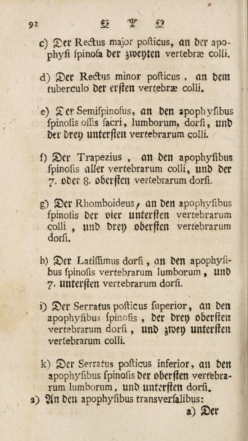 c) Set Re&us major pofticus, an bet apo- phyfi fpinofa bet jtbesten vertebrae colli. d) Set Redus minor pofticus , an bettt tuberculo bet etfien vertebrae colli, e) Ser Semifpinofus, an ben apophyfibus fpinolis oflis facri, lumborum, dorfi, unb bet hm) unterpen vertebrarum colli. f) Set Trapezius , an bett apophyfibus fpinofis alfet vertebrarum colli, unb bet 7. Ober 8* öbcrffet) vertebrarum dorfi. g) Set Rhomboideus f an ben apophyfibus fpinolis bet Otet Uttfetlfen vertebrarum colli , unb hm) obetffen vertebrarum dorfi. h) Set Latifiimus dorfi, an ben apophyfi¬ bus fpinofis vertebrarum lumborum, UHb 7. ittttetffen vertebrarum dorfi. 1 ' x i) Set Serratus pofticus fuperior, an ben apophyfibus fpinofis , bet btet) Obctfreit vertebrarum dorfi , Unb htX) UntCtffen vertebrarum colli. « k) Set Serratus pofticus inferior, an ben apophyfibus fpinofis bet obetflen vertebra¬ rum lumborum, unb unfetfien dorfi. i) %U ben apophyfibus transverfalibus: a) Set