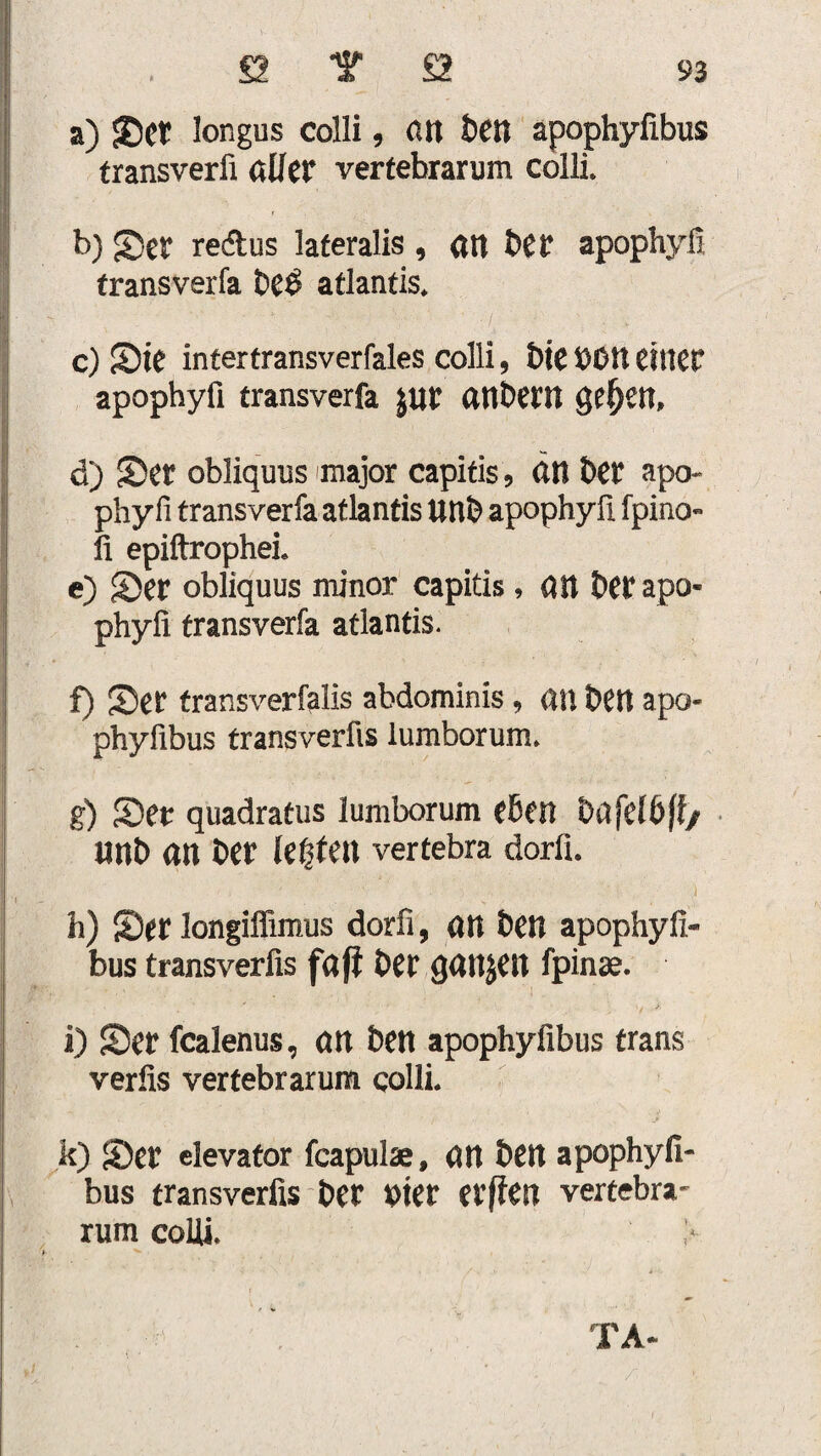a) Ser Iongus colli, ßtt Öen apophyfibus transverfi filier vertebrarum colli. b) Ser redus lateralis , ßtt her apophyfi transverfa l)C0 atlantis. \ :  f\-’' 'V ' • ■/ ' / \ . * c) Sie intertransverfales colli, btebbU einet apophyfi transverfa £Ut atlbem geljen, d) Set obliquus major capitis, an bet apo¬ phyfi transverfa atlantis UUb apophyfi fpino« fi epiftrophei* e) Set obliquus minor capitis, an bet apo¬ phyfi transverfa atlantis. f) Set transverfalis abdominis , an ben apo¬ phyfibus transverfis lumborum» g) Set quadratus lumborum eben ba fei5ff/ unb an bet leiten vertebra dorfi. ' ’ . 1 ’v ■. .' ’ ■ f/' ' ,) h) Ser longiffimus dorfi, ßtt Öen apophyfi¬ bus transverfis faß her gattjett fpinae. • * V/ , >■ i) Ser fcalenus, ßtt bett apophyfibus trans verfis vertebrarum colli. k) Ser elevator fcapulae, ßtt Öett apophyfi¬ bus transverfis her »ter erflen vertebra- rum colli. ;• TA-