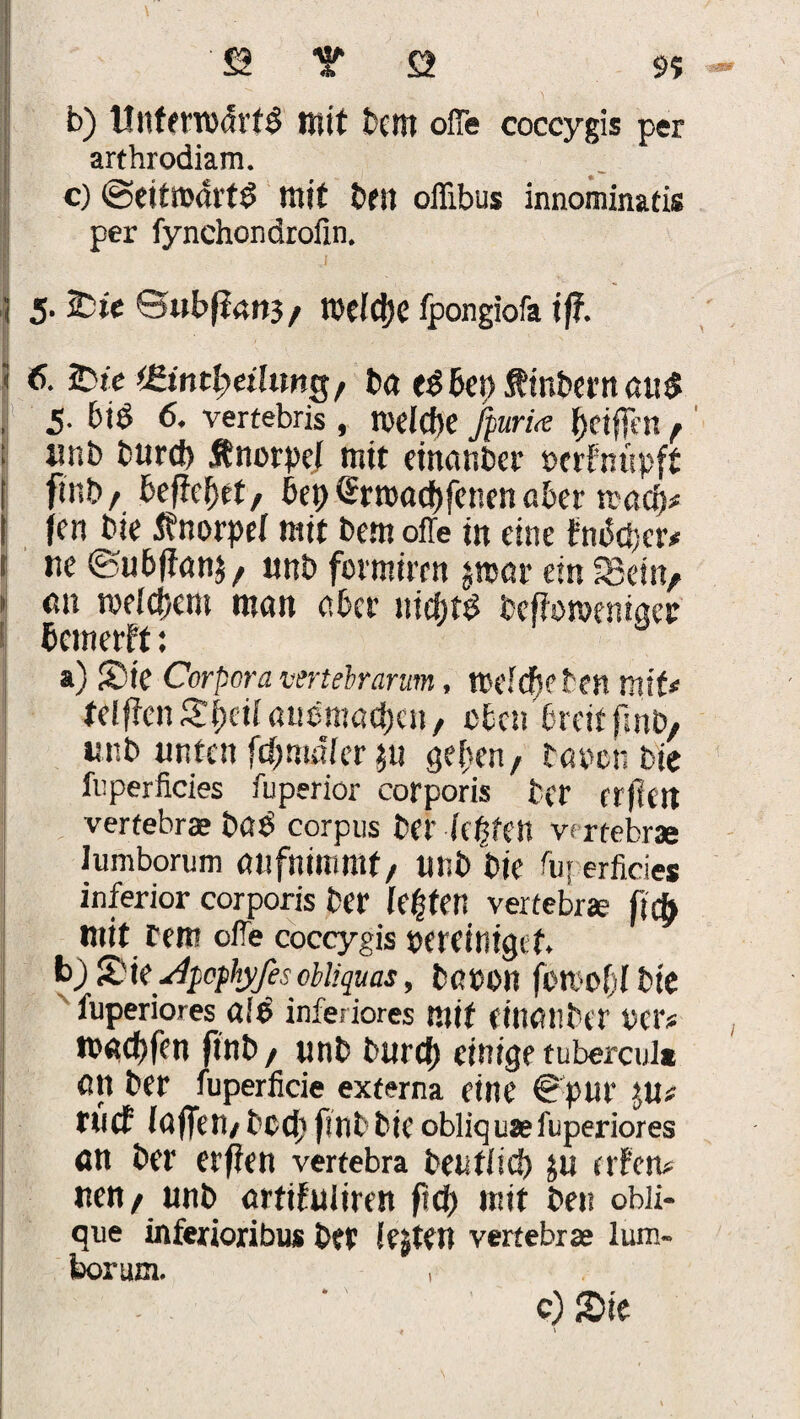 b) ttnternxhfö mit tem offe coccygis per arthrodiam. c) @eitit>drt$ mit ben oflibus innominatis per fynchondroün. 5. 2He 0ubpan3 / rodele fpongiofa iff. 6. JDie (Bintfyeihmg/ ba <gbet) Äinbernau$ 5. btö 6. vertebris , tneldte jpuri<e Reiften f tmb burd> Änorpef mit einanber uerfnupft fmb/ befielt, bet) <£rtt>ad>fcnen aber rcad)* (en bie Änorpei mit bem ofle tu eine tnbd)cr# ne ©u6ffan$, unb formiren %mt ein 33ein, nn tveldKm man aber nichts befferoentaer bemerk: a)S3te Corpora vertebrarum, ttK’Icftefcett mit* telffen£f)eif auemadjcn, eben breit finb, unb unten fdjmäler ju geben, baren bie fi: per freies fuperior corporis ber rrflctt vertebrae büb corpus ber festen vrrtebr« lumborum aufnimntf, unb bie fuperficies inferior corporis ber lebten vertebra? fufy mit rem ofe coccygis pereinigtf. bj 2k/?pcphyfes cbhquas, baren fomofjl bie luperiores aiß inferiores Ruf einanber «er* tead)fen fiub, unb bu rd) einige tubercui* ßtt ber fuperficie externa eine 0pur JU* tuef faffetl/ bed) finb bie obliquaefuperiores cn ber erffen vertebra beufiief) ju rtfen* «eit/ unb ortifuliren frei) mit ben obli¬ que inferioribus bft ifjten vertebrae lum- borum.
