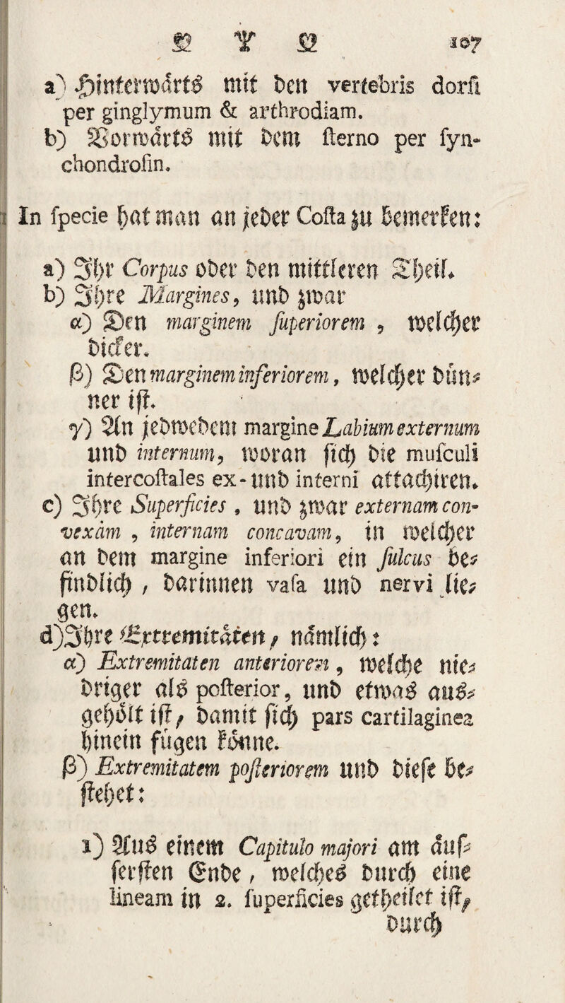 S? Y Ü 207 a} J3?ttfefroart$ ttitt Den verfebris dorn per ginglymum & arthrodiam. b) SSormdrtD mit Dem fterno per fyn- chondrofin. i In fpede §at mm an jeber Cofla ju Demetfen: a) 5f)t Corpus ober Den mittleren £f)eih b) 3l)te Margines, imb Jtnar a) Sen marginem fuperiorem 5 meiner tiefer. ß) Sen marginem inferiorem, n>e(cf)et DÜn* ner tft. y) 2(n jeDmcDem margineZ^foam^mOT linD internum, rooratt fiel) Die mufeuli intercoftales ex-unb intern! attat!)ireru c) SBre Superficies , nnD $war externem con¬ vex am , internam concavam9 tu iDelcfjet an Dem margine inferior! ein fiulcus De* fmbiief), Darinnen vafa tmö nervi (ie* gern d) ^!)re f£pttemitattn ? nämlid) t a) Extremitäten anterioren 9 me(d)£ nie* beiger alD pofterior, imb etrnß anß* geholt iff / Damit fid) pars cartilaginea l)tnetn fügen Fon ne. ß) Extremitatem poßeriorem UIlD Dieft De* fteBet: 1) 2£iJÖ einem Capitulo majori aut auf* ferften (Snbe , roefcBe^ bttrob eine lineam in 2» iüperficies geff)dief iftf Durcfr