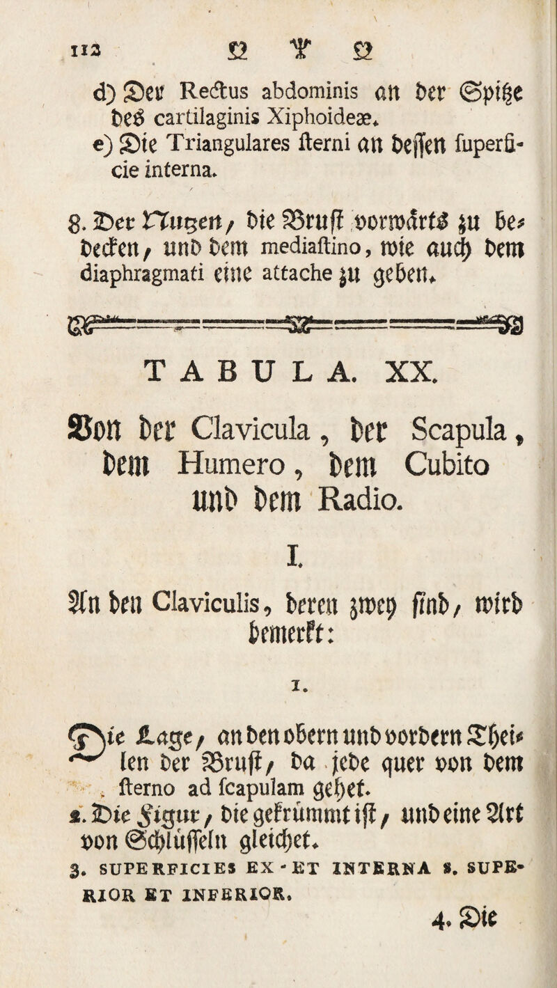 113 £2 r Ö d) Sei: Re&us abdominis alt bet bCÖ caitilaginis Xiphoideas. e) Sie Trianguläres fterni an bejjen fuperS- cie interna. 8. Sec Hugeit/ bie 93rufi uonthtrt^ $u be* bedien f unb bem mediaftino, rote aufy bem diaphragmati eine attache ju geben* yrtJbMtm. ... ■ i wrrfygj Vfiftf---»— --•&«-— * — ~ TABULA. XX. Sott ter Clavicula , kt Scapula t teilt Humero, teilt Cubito Ullt teilt Radio. I. Sfn beu Claviculis, bete» jibep f/nb, wirb benterft: i. <s)ie jtage/ anbenobernunb»orbemSljei* ^ len ber fBruft/ ba jebe guer t>on bem , fterno ad fcapulam gebet- i. Sie i'iguc / bie gefrümmt ifi / unb eine 2lrt t>on ©dUtiffeln gleichet. 3. SUPERFICIES EX-et INTERNA ». SUPE¬ RIOR ET INFERIOR. 4- S>te