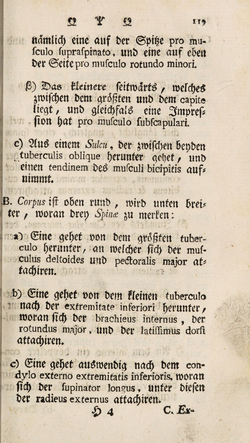 ttdmltd) eine auf ber <gpi|e pro mu- fculo fuprafprnato, unb eine auf e&ett ber (Seite pro mufculo rotundo minori. ß) pas ttänete fetfwdrfö f weMjed jmifc^en bem graten unb bem capite liegt, unb gletcftfab? eine 3mpref* (ton ()at pro mufculo fubfcapularl 1 c) 2(ud einem Sulcu, ber jwifeben bepbe« ? tuberculis oblique ^runter gebet, unb ' einen tendinem bed mufeuli bicipitis auf« nimmt. 11 ■' : ' - *. •? ••  *' 'I ‘ , v ö I ;' •' n •• \ '■ : 4 ■- '• • ■ B. Corpus ift oben vunb , wirb unten Brei« 1 ter / woran bret? Spina su merfen: I 15^ . ' 3 3 ll »■) (Sine gebet »on bem größten tuber- culo herunter, an welcher ftdf) ber muf- culiis deltoides u.ttb pedtoralis major at« fae&iren. t b> ©ne gebet »ott bem Weinen tuberculo nad[t ber exfremitate inferiori herunter, woran fiel) ber brachieus internus , ber rotundus major, unb ber latiffimus dorft aftaepiren. i- ‘ * l t i . • | ” 4 ' ’ y : •» /' ■- •' K } V c) (Sine $el)et au$wenbi$ nad^ bem con- dylo exferno extremitatis inferioris, woratt ftet) ber fupinator lon^us, unter btefett ber radieus excernus aftacfyirett* *£) 4 C. J£k-