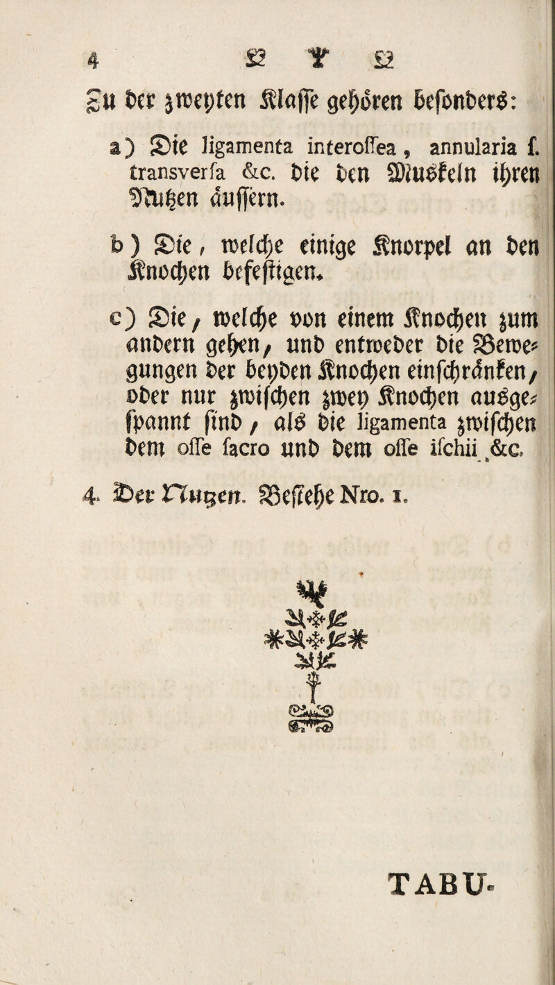 £u t>cr jrcepfen flaffe gepbren befonberb: a) Sie ligamenta interofiea, annularia f. transverfa &c. bie tcn SKubfein ipren ^vlipen duffem. b) Sie, toelcpe einige Knorpel <m ben Änocpen befefitgen. c) Sie, reelle »on einem Änocpen jutn önbern gepen, unb entoeber bte SSetue» gungen ber bepben Änocpen einfcprdnfen/ ober nur pifcpen |roep Snocpen aubge; fpannt finb / alb bie ligamenta jroifcpen bem offe facro unb bem offe ifchii &c, - bi 4- iDer rTwgert. 33eftef)e Nro. i. SlK TABU«