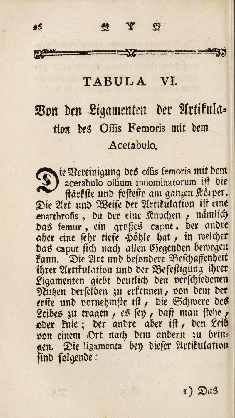 *6 Y 2 ISSÄSÖ- TABULA VI. S3on ben Ligamenten ber Sfctifula* fiOlt bf£ Offis Femoris mit bellt Acetabulo. £ kte SSeteinigung be$ offis femoris mit bent acetabulo offium innominatorum iß bte ffdtrFfie unb foffene am ganzen Ä&rper. £ie 2frt unb SBeife ber 5lrtifulafion iß eine enarthrofis, ba ber eine jbnpcpen / ndntltct> bas femur, ein großed caput, ber anbre aber eine feljr tiefe ^ople put / in melier bas caput ftd) nad) allen ©egenben bewegen fann. Sie 2lrt unb befonbere SVfcbajfenpeit t^rer Slrtthilation unb ber ?8cfeßigung ifjrcc Ligamenten giebt beutlid) ben »erfdßcöenen f^uben berfclben ju eifennen/ »on bem ber erße unb »ornebmße iß/ bie ©d)t»ere bc$ Leibet ju tragen / e$ fep, baß man ßehe / ober ?nie; ber anbre aber iß, ben Leib öon einem ört nad) bem anbern *u brin* gen. Sie ligamenta bep biefet 2trtifulation fint) folgenbe:
