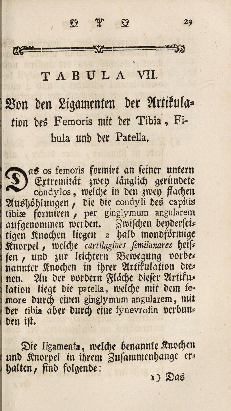 TABULA VII. iSJon isen £igamen(en bet StrtiMa* fton bt£ Femoris mit btt Tibia, Fi¬ bula unb bCt Patella. 0^ os femoris fermirt an feiner untern vij (£j:trenutdt jwep länglich gemibete condylos, welche in ben $wet) Rachen ^fti^f>6f>lutt9en , bie bie condyü bed capitis tibiae formiren , per ginglymum angularem aufgenommen werben. 3wifd;ett bepberfet« tigen Änodjen liegen 2 f)ält> monbformige Knorpel / welche cartilagines femilunares fett, unb jur leichtern SBemegung oorbe* nannter Änodjen in ihrer 5trtifulafton bie* nen. $(n ber oorbern flache biefer StrtiFu» iation liegt bie patella, welche mit beut fe* more burd) eilten ginglymum angularem, mit ber tibia aber bürg) eine fynevrofin »erbun* ben iff. Sie ligamenfa, welche benannte Änocben 11 unb Änorpel in ihrem Sufamtnenhange er» > galten, ftnb folgenbe: _ O Sad