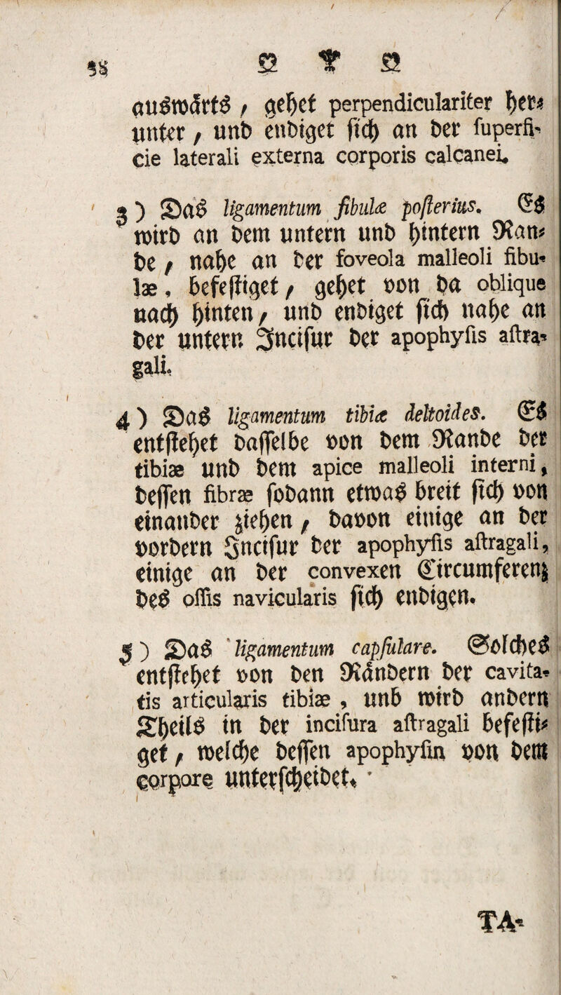 / / • / £2 f S au5t»cfrt£ / gebet perpendiculariter ber* unter / unb enbiget fidf> an t>cr fuperfi- cie laterali externa corporis calcanei. ' 3 ) S)ae> ligamentum fibidm poßerius, (55 wirb an t>em untern unb l)tntern 9?an* te f nabe an ber foveola malleoli Abu- lae, befe füget, gef)et t>on ba oblique nach biltt«« / unt) en&igct ficb nabe an ber untern 3ncifur ber apophyfis aftra^ galt, 4) ligamentum tibia deltoides. ©5 entfielet baffe! be non bem Dtanbe ber tibi« unb bent apice malleoli interni, beffen fibr« fobann etrnab breit ftd) »on etnanber Rieben t baoon einige an ber »orbern Sncifur ber apophyfis aftragaii, einige an ber convexen ©rcumferenj beö oflis navicularis ffcb enbigen. 5) «Da5 ligamentum capßilare. @>ofd)e$ entfielet »on ben Zaubern ber cavita* tis articularis tibiae , unb tüirb anbertt STf>cilÖ in ber incifura aftragaii befefiü gef^ roeicbe beffen apophyfin »on betit corpore unterfebeibeu • l