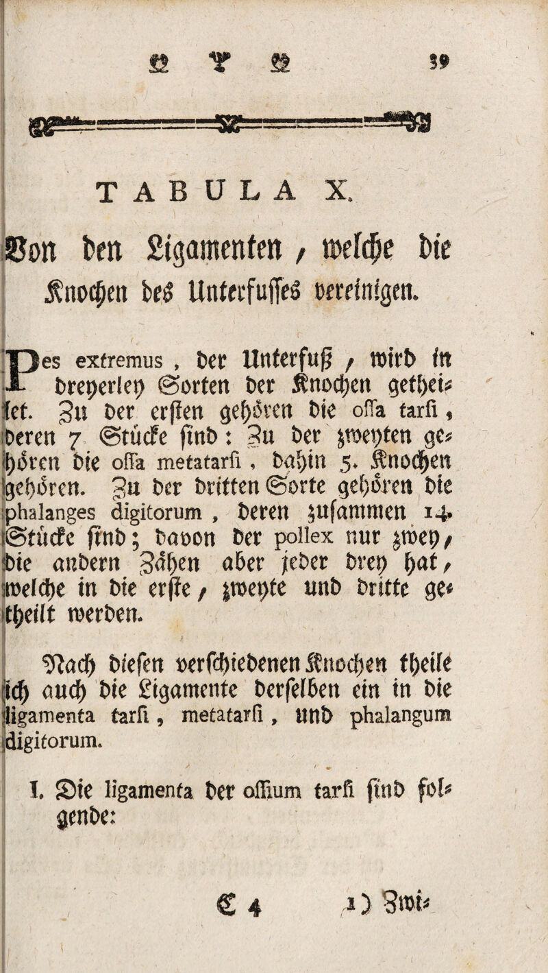 TAB U L A X. 8on beit Sigamenten , ml$t t)(e Änoc^en bei Unfeefuffel bereinigen. es extremus, Der Unterfujj f wirb fit .i- breperlet) ©orten Oer Änodjctt geti>eu fet. 3u Oer erfiert geboren Oie ofia tarfi, Deren 7 ©tücfe ftnb: 3u Oer jtoepten ge? Igoren Oie ofia metatarfi, Og>)in 5. Änod^en !gel)oren. 3“ t>cr Dritten ©orte geboren Oie phaianges digitorum, Oerett jufantmen 14* (©tücfe ffnO; Oaoon Oer pollex nur $n>e9/ jbie anOern 341)en aber jeOer Drei) fyat, sroeldbe in Oie erlTe / mente unO Dritte ge« t&eilt werben, j 9}adf) biefen »erfebiebenen Änocijen tbeife \ty oud) bie Sigamentc berfeiben ein in Oie Uigamenta tarfi, metatarfi , UttO phalangum idigitorum. I. Sie Iigamenta Oer ofiium tarfi ftnb foi« genbe: