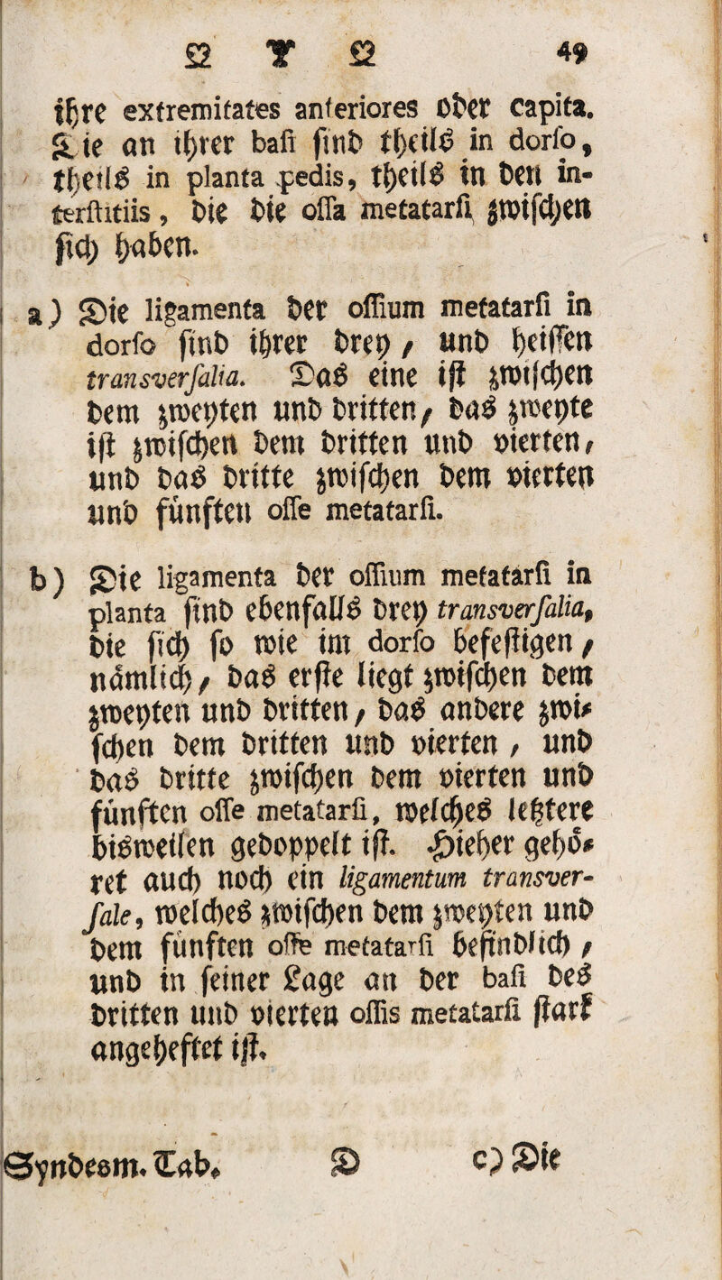 jfjre ex trenn fates anteriores Ober capita. <Ue «n iprer bafi finti fpeild in dorfo, tpeffg in planta pedis, tl)Ci(£ in teil in- terftitiis, Die bte offa metatarfi, pifcpetl pcp pabcn. a ) g)tc ligamenfa bet offium metatarfi in dorfo finb iprer brep / unb Riffen transverfdia. !Dö$ eine iji ^TOtjCpM bern poepten wnb britten f ba$ jroepte i(i jmtfdjen bem britten unb »irrten, unb baö britte $t»ifd>en bem werten un'O fünften offe metatarfi. b) £>te ligamenfa ber ofiium metatarfi in planta ftnb ebenfalls brep transverfalia, bie fiep fo wie im dorfo b'efefiigen / namlicp/ bad erfie liegt $tuifcpen bem jmepten unb britten / ba$ anbere jmi# fepen bem britten unb »irrten / unb bab britte jwifepen bem eierten unb fünften offe metatarfi, roelc^jeö lepfere biWuetlen gehoppelt iff. Pieper gepo* ret öud) noch ein ligamentum transver¬ sale, tuelcpeS smifdjen bem jmepten unb bem fünften offe metatarfi fieftnbJtcfi; unb in feiner £age an ber bafi bed britten unb oierten oflis metatarfi |iarf «ngepeftet iß. ©■ynbeem. Eab» £> c) ©ie