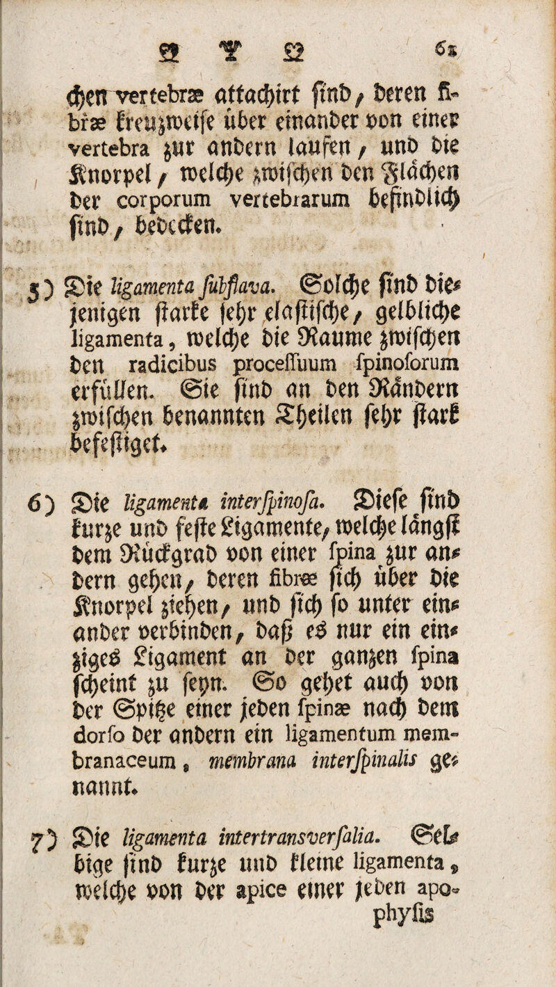 Den vertebrse gtfacbirt finb/ beten fi- brae frcujtoctfe über einanber pon eines vertebra $ur cmbern laufen / «nD bie Knorpel / welche *mifcben bcn flachen bet corporum vertebmum bepnbÜC^ ftnb/ bebccfen. ' • '■ - - ( ■ . ;■;?? 4 ;: y , 5 ) Sie ligamenta fitbfiava. ®Ctd)e finb bie* jeitigen fiarte jel)r elafiifcjK/ gelbliche ligamenta, welche bie SKaume jmtfcJjert bcn radicibus proceffuum fpinoforum erfüllen. @ie finb an ben 9i4nbem jroifctKtt benannten Steilen fe&r jiarb befejiiget. 6) Sie ligamenta interfpimfa. Siefe Jittb fur&e unb fefie gigatnenfe/ welche langff bero SKücfgrab »on einer foina jur ön* bern geben/ beren fibrös |tcf) über bie Knorpel jieben / unbjid) fo unter ein« nnber »erbinben r bafj e$ nur ein ein* §ige£ Ligament an ber ganzen fpin» fctjeint ju fepn. @o gebet aucf) »on ber @pipe einer jleben fpinae naeb bent dorfo ber anbern ein ligamentum mem- branaceum, membrana interfpinalis ge* uannt. - ' . ' ' •. • ’ , ’ • • • - 1,. - a f ' ’  ,J'' ■' 2) Sie ligamenta intertransverfalia. bige finb furje unb tleine ligamenta, welche pon ber apice einer jeben apo= phyfis