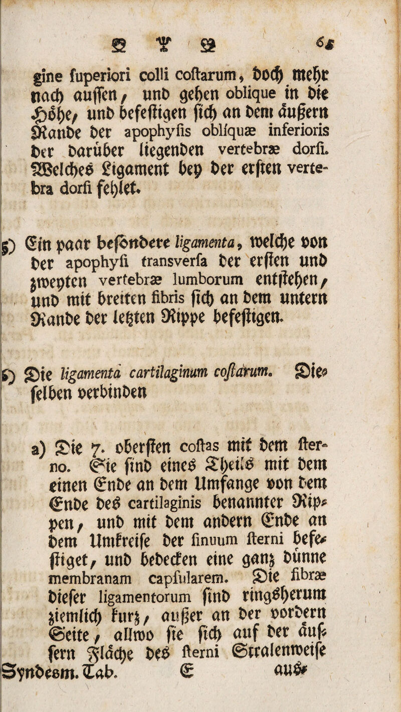 fi Y ' a gine fuperiori colli coftarum, bOCp tttef)C fiact) aujfen / «nt» geben oblique in bte döope, unt» befeiügen ficfj an t»em augern SKanbe ber apophyfis oblfquse inferioris ber baruber iiegenben vertebrs dorfi. SBelcfieb Sigament bep ber erften verte- bra dorfi fehlet. 5) Gin paar befonbere Ugammta, tödefje bott ber apophyfi transverfa ber er|ien unb jroepten verfebras lumborum entließen/ unb mit breiten fibris fid) an bem untern Sianbe ber testen Düppe befefitgen. h j' ; ' S) Sie ligamenta cartilaginum coftarum, Sie» felben »erbinben a) Sie 7. oberjfen coftas mit bem fter- no. ©ie finb eineö Stpeil^ mit bem «inen Gnbe an bem Umfange »on bem <?nbe be£ cartilaginis benannter Dfip» pen, unb mit bem anbern €nbe an bem Umgreife ber finuum fterni befe* füget, unb bebeefen eine ganj bunne membranam capfularem. Sie fibrae biefer ligamentorum ftnb ringäperum jiemiiep fitrj, auger on ber »orbern ©eite, allmo fte fid) auf ber auf» fern ^idepe beb fterni ©tralenroeife Svnbeem. Cab. £ aub*