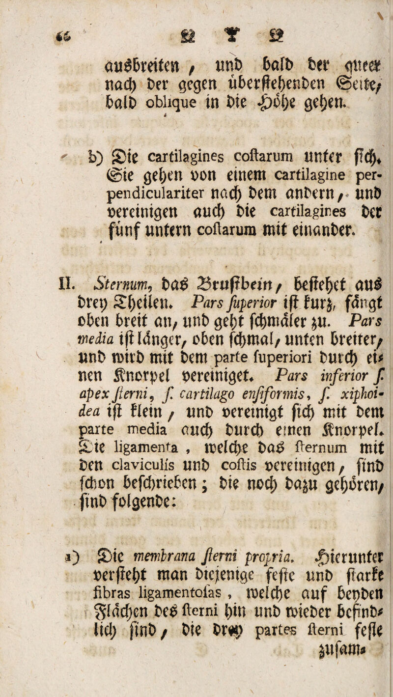 öuSbreiten ; unb 6ofl> fcer guter nacf) ber gegen uberfiefienben (Bette; halb oblique in bie •£)% ge^en. b) Sie cartilagines coftarum unter fldf), ®ie ge()en von einem cartilagine per- pendiculariter na cf) bem anbern r unb vereinigen auef) bie cartilagires ber fünf untern coftarum mit einanber. II. Sternum, bö$ 2$rufibeirt ; befielet au$ bret) Steilen. Pars fuperior if! furj, fängt eben breit att; unb gebt febmdier ju. Pars media tfi länger, oben fcf>mal/ unten breiter; unb roirb mit bem parte fuperiori buref) ei* nen Knorpel bereiniget. Pars inferior f. apex fierni, f. cartüago enfiformis, f. xiphoi- dea if! flein; unb »eremigt ftef) “mit bem parte media oucf) bureb einen Änorpef. Sie ligamenta , itclctjc boö fternum mit ben ciaviculis unb coftis »creinigen, finb febon befcfjrieben; bie noci) böju gehren; ftnb folgenbe: 1) Sie memlrana ßemi propria. hierunter »erffettf mön Diejenige feftc unb ftutfe fibras ligamentofas , toe!cf)C auf 6ct)bett $fdcf)en beo ftemi bin unb roieber befnb* lief) finb; bie br«; partes ftemi fefle jufam*