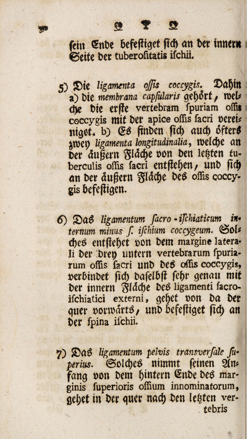ss T a feitt Snbe befejiiget ft* «tt bet innem 0eite ber tuberoiitatis ifchii, 5) $)te ligamenta ojjis coccygis. ©adtn a) bie membrana capfularis gehört / t»ek 0e t)tC etfie vertebram fpuriam oflis coccygis mit bet“ apice oflis facri »ereu titlet* b) <£$ jtnben ftcf> aud) öftere jtuep ligamenta bngitui.ina.lia, tt>dCf)C an Cer äußern Släcde »ott beit legten fu- berculis oflis facri entfiedert, unb ftd> <tn ber äußern §(äcde bed offis coccy¬ gis befejitgett. 6) £)a$ ligamentum facro - ijehiatkum in« ternum minus f. ifihium coccygeum. &oU d)eö entfielet »Ott bem margine latera- Ii ber :brep untern vertebrarum fpuria- rum oflis facri unb bed oflis coccygis, »erbinbet fid) bafeibft fefrt* genau mit ber ittnern 8(äd)e bed ligamenti facro- ifchiatici externi, gedet »on btt ber guer »orroärtd / unb befefiiget fted an ber fpina ifchii. 7) SDttd ligamentum pelvis transverfale ßi- perius. @old)eb nimmt feinen Sin» fang »on bem dihfern <Snbe beö mar- ginis fuperioris oflium innominatorum, gedet in ber quer naed ben (elfen ver- , tebris