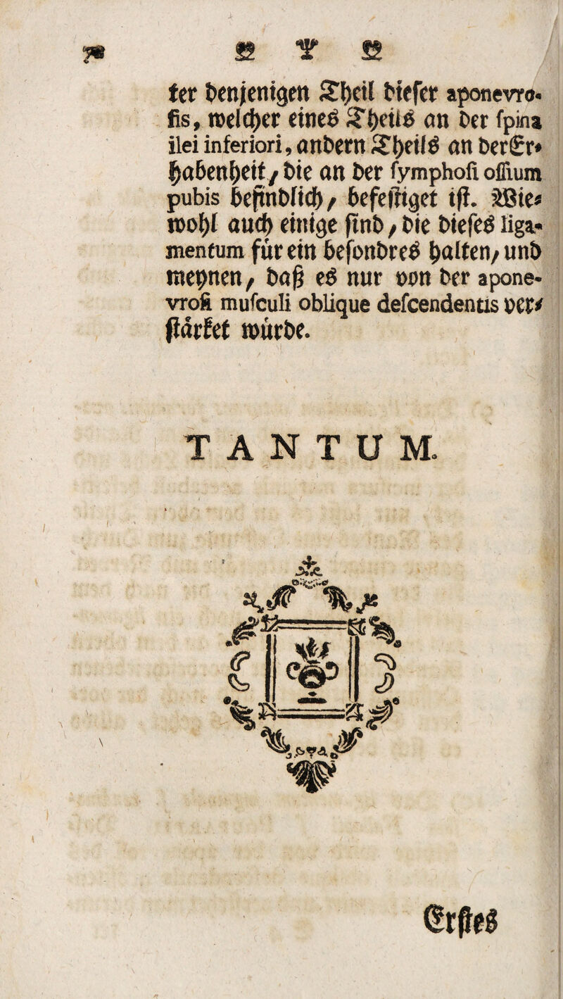 i 8 ? 2 ter benjentgen Sfyctl tiefet aponevro« fis, roelcber eineö £{)eue an ber fpina ilei inferiori, andern £l)etfö an ber£r* fyabenfyeit/t>ie an bet fymphofi oflium pubis bejuibfid)/ befefttget tff. 3ßte« n>ot)I aud) einige ftnb / bie biefeö liga* menfum für ein befbnbreb halten/unb meinen f bafj e6 nur wm ber apone- vroft mufculi oblique defcendentis WZ* finrfet mürbe. TANTUM.
