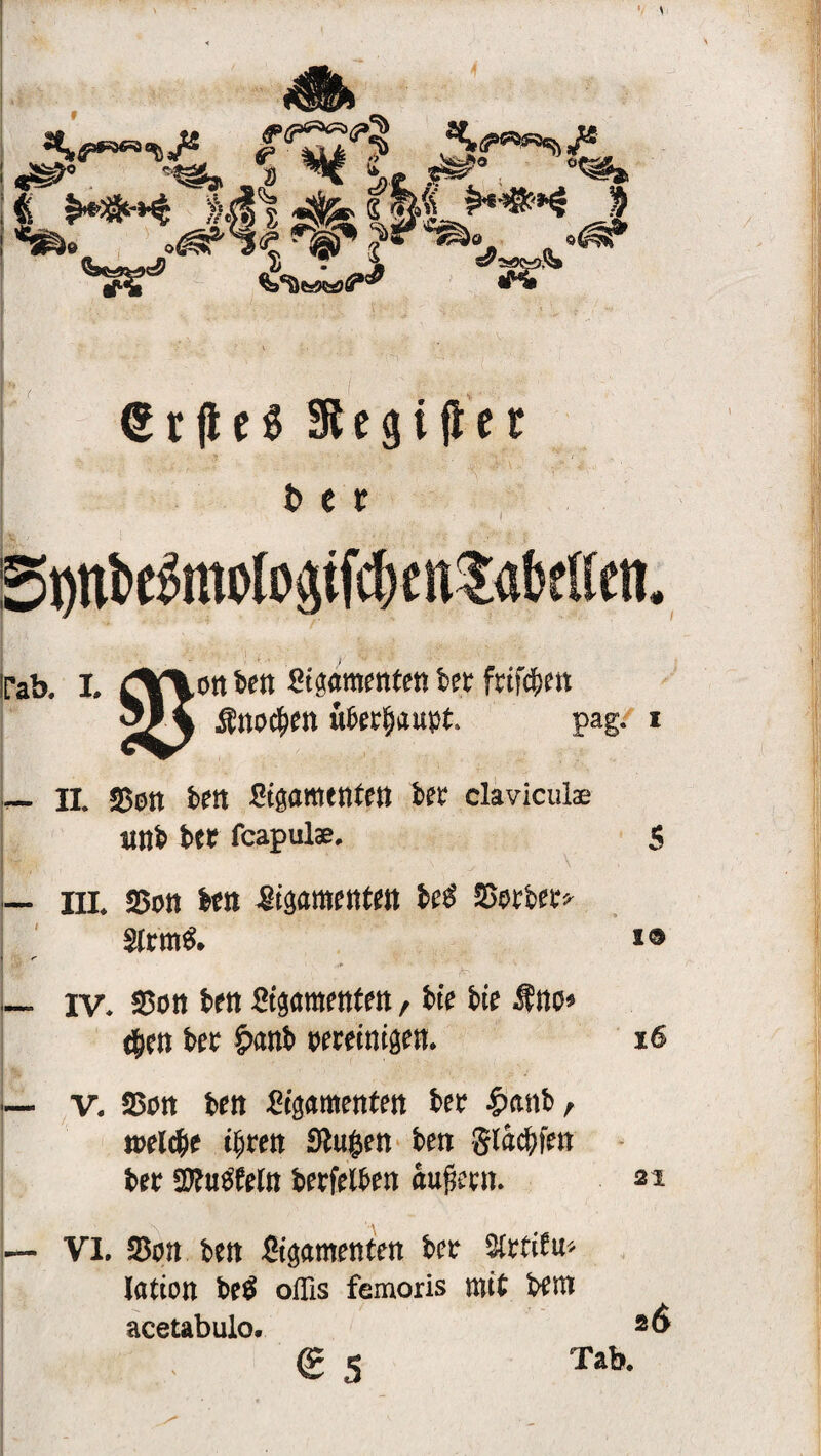 « *»*•* »$s jfe < IL^”6^ J «>tm <£rjie$ Stegi jter t> 11 nnl»t^mo(oätfcf)cit?flbtHcn, 'ab. I. £lf\ort bett gigamenten bet frtf^ett 514 Äno^en «behaupt pag. i — II. 25ott ben Sipmetifeu bet clavicul® imb bet fcapulas. 5 — III. 25on bett .gtäamentett M Sßetbet* SIrmö. r Mf. ■■* ’ K‘  v • — rv. SSott beit Stgamettfett f bte bie Ätto» $ett bet 5><mb teretnigen. % r' ■ ■■■>' ■ . , ?■ ■'- ■•< ; ■■ . /■■' — v. 23ott bett Spttteitfett ber £anb, welche ifym Slufcett ben glac&fm Ut Sfltttffeln betreiben aufjectt. — VI. S5on bett Sipmentett betr lattott be$ offis femoris mit bent acetabulo. (E 5 Tab. i® iS 21