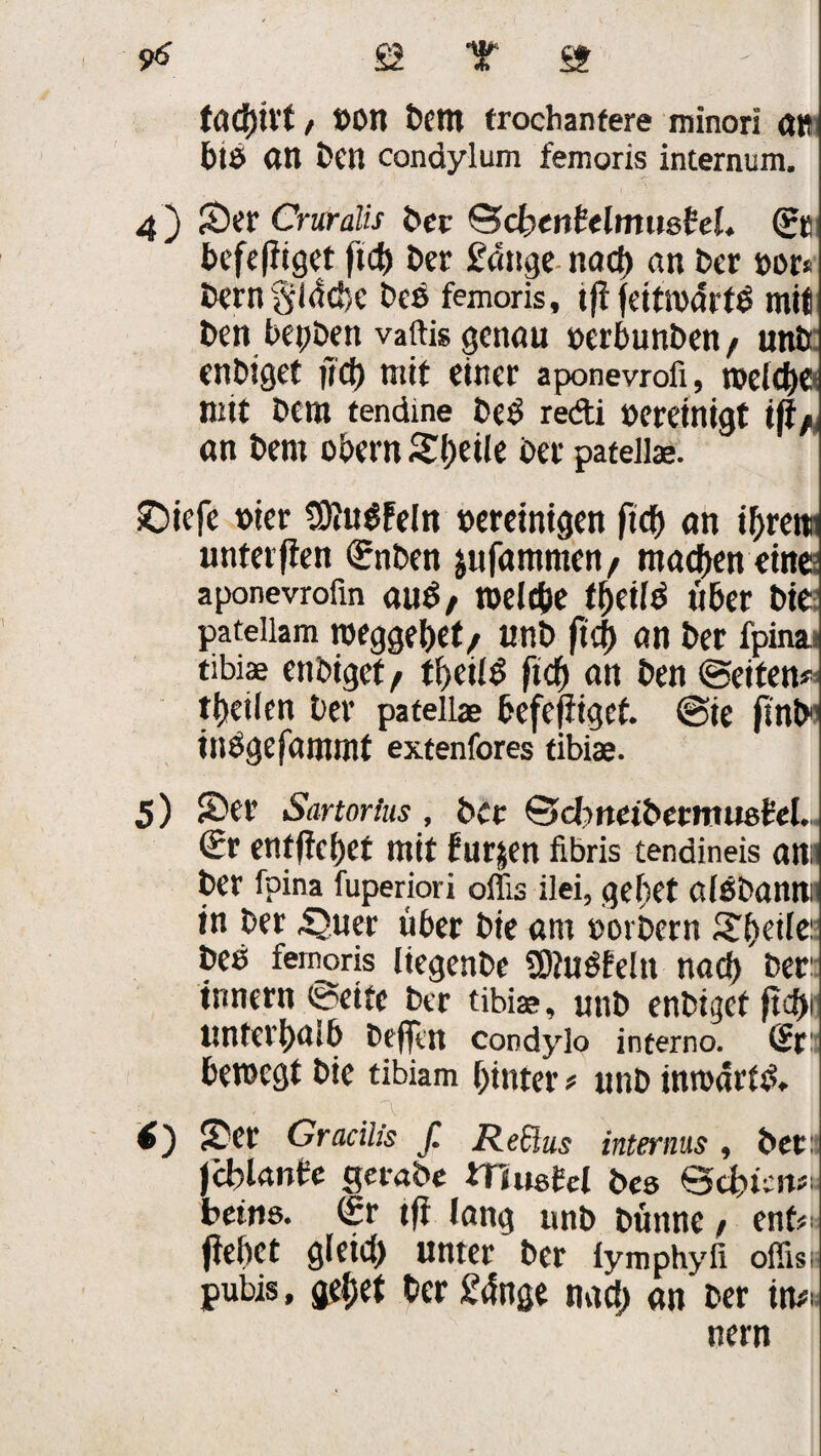 tadjivt / »on Dem trochanfere minori OR btö on Den condylum femoris internum. 4 ) Ser Cruralis Der (ScbenMmiishL 0« bcfeffiget fid) Der £onge nad) an Der »er* Derngldcbe Des femoris, ijl feitmdrtö mit Den bepDm vaftis genau »erbunben/ unb enbiget |Tcf> tritt einer aponevrofi, n?cfcf)C mit Dem tendine beb redi bereinigt ift/ on Dem obern Steile Der patell®. £>iefe »ier tOiitöPeln bereinigen ftef) on if>rett: untetfien Snben jufomnten, machen eine aponevrofin ouD/ roelt&e ff)ei(b über Die patellam weggebet/ unD ft cf) on Der fpina tibiae enbiget, tf>eil$ ftef) an Den ©eiten? ttjeilen Der patellae befefiiget. @ie ftnb inDgefommt extenfores tibiae. 5) Ser Sartorius, Der ©cbnet&ermueM, Sr entffebet mit furjen fibris tendineis ona Der fpina fuperiori oflis ilei, ge^et olsDotttti1 in Der ^uer über Die am »orbern STf>etfc: Des femoris liegenDe SDfuSfeltt noch Der: tnnern ©eite Der tibiae, unD enbiijcf ptef>r unteri)0tb Dc(fui coodylo interno. Sr: bewegt Die tibiam hinter ? unD inwdrfb. «) Ser Gracilis f. ReSlus internus , Der:) fcblanh gerat* VTtmUl Des btins. (£r tfi lang unb Dünne / ent* (lebet gleid) unter Der lymphyfi offisi pubis, aefjet Der Un&t nad) an Der in* nern