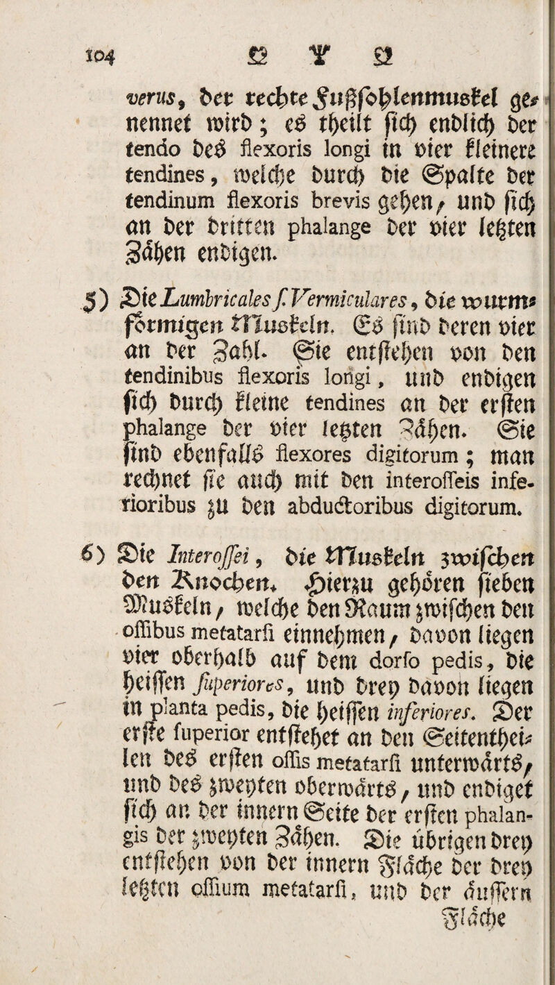 verus, bet teebte SufsfofylenmmM ge# nennet rottb; eb ftc^> enblid) bet tendo be$ flexoris longi in eiet kleinere tendines, melcbe burci) bie ©patte bet fendinum flexoris brevis gefjen * unb fid) an bet britten phaiange bet biet testen .Sdfyen enbigen. 3) SieLumlncalesf. Vermiculares, biewilttn> förmigen ttlussicln. (Eö ftnb beten t>iet an bet j3af>(. ©ie entfielen ton ben tendinibus flexoris lorigi, unb enbigen ftef) burct) Beine tendines an bet erften phaiange bet öter legten Selben. ©ie ftnb ebenfalls flexores digitorum; man redjnet |Te and) mit ben interofleis infe- rioribus :-u ben abdudtoribus digitorum. 6> £>te Interoffei, bie tTlusteln }wifd?en beit Änocfcem »f)ietju geboren fiebert SKubfeln , rceldje ben Süaunt jtvifdjen ben offibus metatarfi einneljmen, bauen liegen »ier oberhalb auf beni dorfo pedis, bie Riffen ßtperiorcs, unb btep bauon liegen in planta pedis, bie l)eiffei! inferiores. S?et erite fuperior entffe&et an ben ©eitentgei# len be$ ersten offis metatarfi untermdrtg/ unb be£ jmepfen oberwdrtb, unb enbiget fiel) an bet innern ©eite bet erften phalan- gis bet jmepten 3«f)en. Si? übrigen bm> entfielen non bet innern $fdcf)e bet bren legten offium metatarfi, unb ber duffem '5'drfie