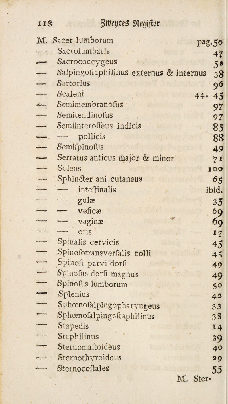 11S Stelltet M. Sacer luitiborum pag.5© — Sacrolumbaris 47 Sacrococcygeus 52 — Salpingoftaphilinus externus & internus 38 — Sartorius 96 — Scalen! 44. 4^ -—• Semimembranofus 97 — Semitend inofus 97 —* Semiinteroffeus indicis 85 — — pollicis g8 — Semifpinofus 49 — Serratus anticus major & minor 71 — Soleus 100 — Sphin&er ani cutaneus 65 — — inteftinalis ibid» — — gulae 35 — •— veficae 69 — —* vaginae 69 •— — oris 17 ■—• Spinalis cervicis 45 — $ Fd n ofo trän s Verfalls colli 4^ “ * Spinoii parvi dorfi 49 ’ Spinofus dorfi magnus 49 Spinofus liimborum 50 Splenius 42 Sphoenofalpingopharyngeus 33 ‘ Sphoenofalpingoil&philiniis 38 “ Stapedis 14 ~ Staphilinus 39 Sternomaftoideus 40 Sternothyroideus 29 -— Sternocoftales 55 M. Ster-