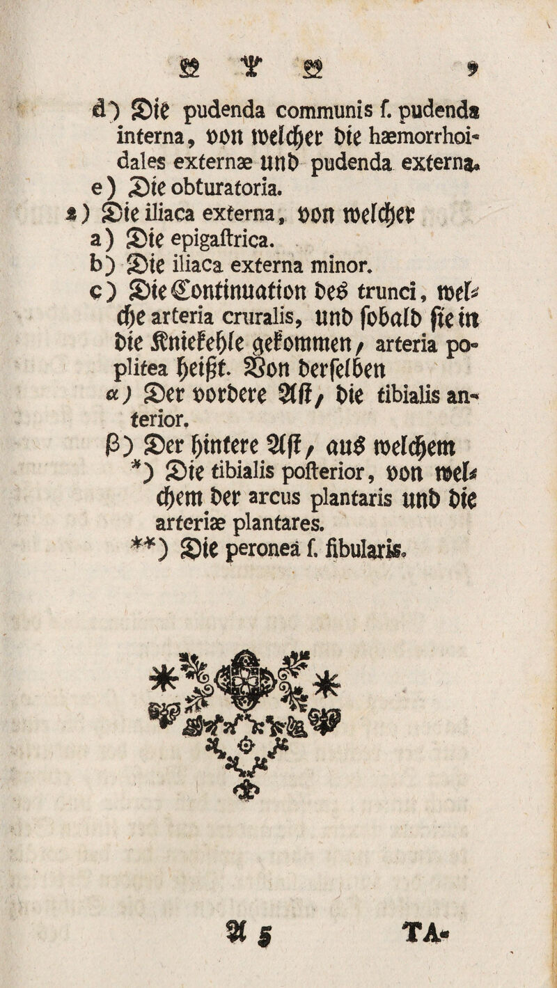 d) Sie pudenda communis f. pudenda interna, 1)01110dcf)Cl‘ ötC haemorrhoi- dales externae uni) pudenda externa. e) Sie obturatoria. ) Sie iliaea externa, »Ott meldjer a) Sie epigaftrica. b) Sie iliaea externa minor. c ) Sie €ontinuation i>eö trunci, mb dje arteria cniralis, uni) fobalb f« itl t>ie Äntefefjie gefotttnten / arteria po- piitea fjeiftt 23on berfelben «; Ser »orbere 2((J/ bie tibialis an¬ terior. ß) Ser Hintere 2((fr <tu$ roeldjem *) Sie tibialis pofterior, »ott mb CfKtt» Der arcus plantaris uttb t>k arferiae plantares. **) Sic peronea f. fibulark