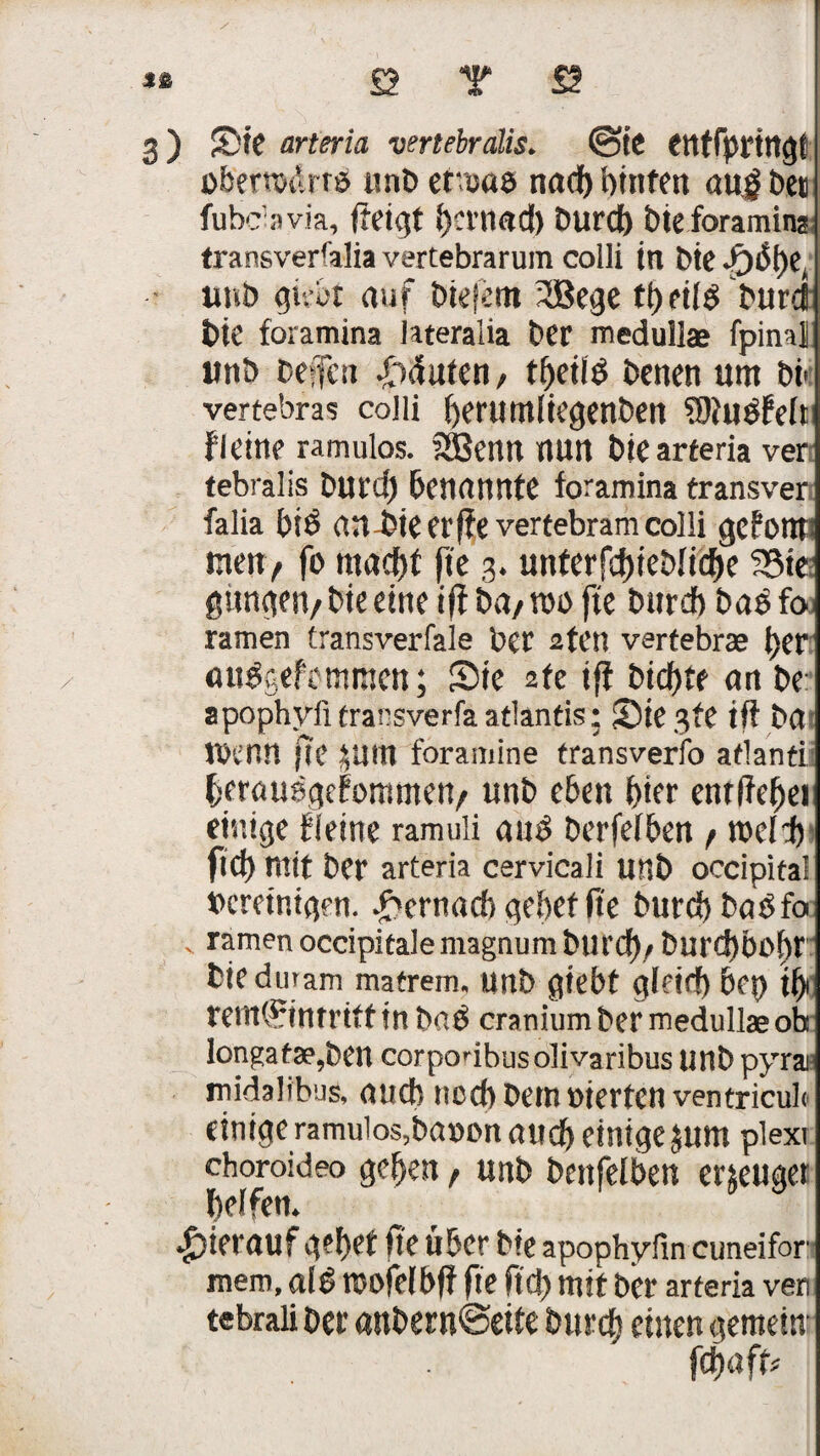 / £2 Y £2 3) Sic arteria vertebralis* @te etttfprtngi üfeetn>drrö unb etruae nad) hinten augber fubc’avia, ftetcjt bcrnad) Durch bteforaming transverfalia vertebrarum colli in bie *£)t$be^ imb gkot auf btefem 3Bege tbeilS burd bie foramina lateraiia t>er medullae fpinal unb oefcu |)duten, tfjeite Denen um bi* vertebras colli herumliegenben SKugfeft flehte ramulos. SBenn nun biearteria ver tebralis Durd) benannte foramina transver falia bi£ an-bie er (fevertebram colli gefomt men, fo macht fte 3* untcrfcf)teMid^e 23ie ganzen/ bie eine i(f ba/ m fte burcb ba£ foo ramen transverfale ber afen vertebrae bet au&gefemmen; Sie 2te ifi bicbte an be apophyiitransverfäatlantis; Siegte tft ba tbenn fte ^um foramine transverfo aflanti berau%fommen/ unb eben hier entliehet etntge fleine ramuli au3 Derfefben / meid) [ich mit ber arteria cervicali unb occipitai bereinigen. £ernad)gebetftc burcb batffo ramen occipitalemagnum burcb/ Durchbohr bie duram matrem, unb giebt gleid) bep ify rem^itttriff in ba$ cranium ber medullae ob longafae,beu corpoabusolivaribus unb pyra midalibus, auch noch betn vierten ventricub einige ramulos,bauon auch einige $um piexi choroideo geben / unb benfelben erzeuget belfern hierauf gebet fte über bie apophyfin cuneifor mem, a(£ mofelbfl fte fict> mit ber arteria ven tebrali ber anbern@ette burcb einen gemein febafc