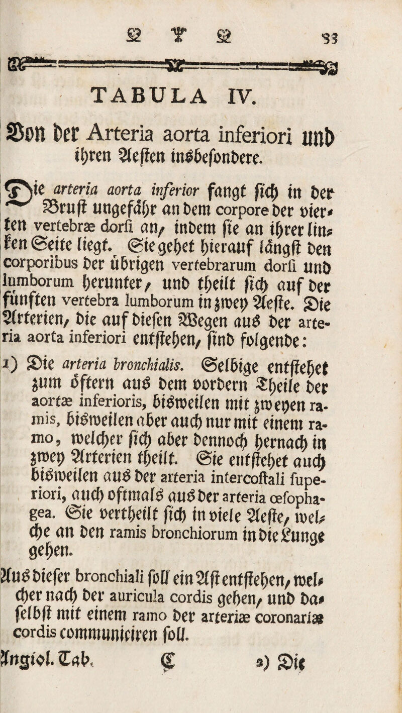 g^= 3? «S» TABULA IV. SßOH tef Arteria aorta inferiori litt!) ipren Stegen inebefonbere. arteria aorta inferior fangt ftCp in ber SSruft ungefähr an bem corpore Der vier» fett vertebrse dorfi an, ttiDcttt fte an tprer lin* fett Seife liegt. Sie gcpet hierauf lang ff ben corporibus ber Übrigen verfebrarum dorfi UttÖ lumborum perunfer, unb tpeilf fiep auf ber fünften vertebra lumborum in pep Sleffe. Sie Slrterien, bic auf biefett Söegen aud ber arte¬ ria aorta inferiori enf fiepen, finb folgenbe: i) Sie arteria bronchialis. Seibige entffepet jum öfter» aub bent oorbern «peile ber aorts inferioris, btötoeilcn mit Jtoepetl ra- mis, bigroeilenaberaucpnurntif einem ra- mo, melcper fiep aber bennoep pernaep in jtoep Arterien fpeilt. Sie entffepet auch biöiöeilen all6 ber arteria intercoftali fupe- riori, atlCp oftmafb auöber arteria cefopha- gea. Sie »ertpeilt fiep inoieie 21efie, mU epe an ben ramis bronchiorum inbieftinge gepen. Hü^biefer bronchiali föO ein 21ft entffepcn,rceU eper naep ber auricula cordis gepen, unb ba* felbff mit einem ramo bet arteriae coronariss cordis communjeiren foü. fttgtbl. Cab, ff s) Sic