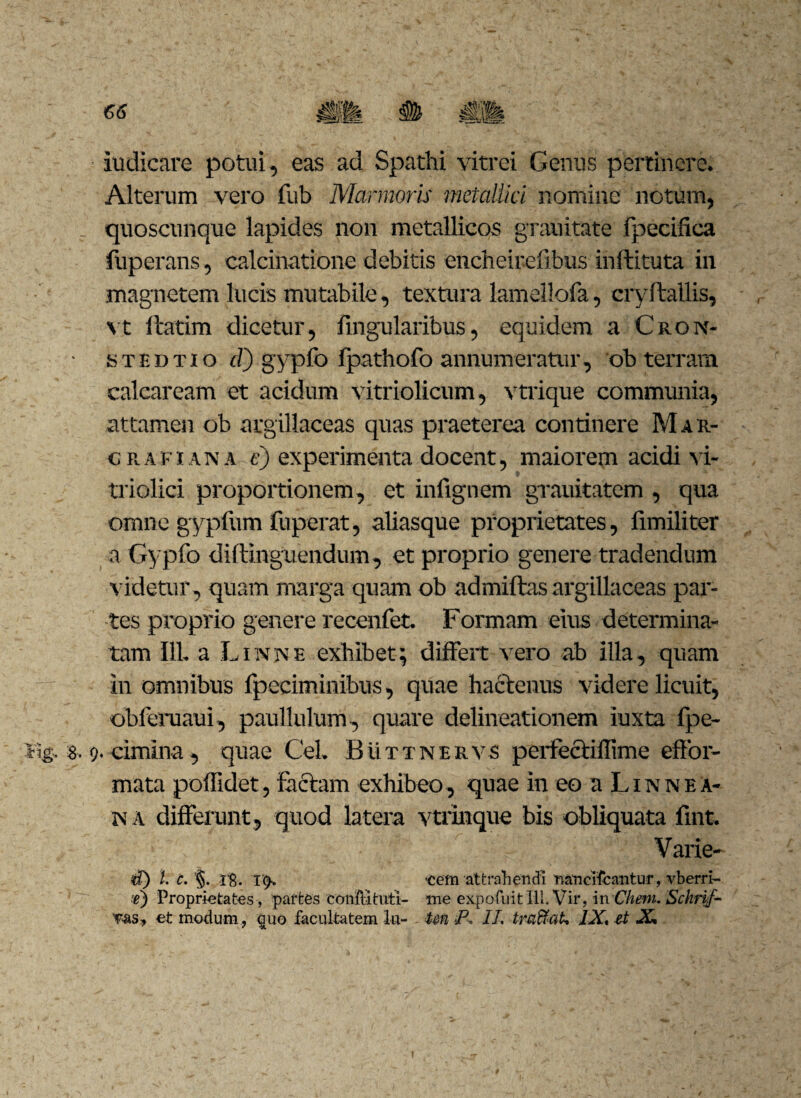 €6 indicare potui, eas ad Spathi vitrei Genus pertinere. Alterum vero fub Marmoris metallici nomine notum, _ quoscunque lapides non metallicos grau itate fpecifica fuperans, calcinatione debitis encheirefibus inftituta in magnetem lucis mutabile, textura lamellofa, cryftallis, vt llatim dicetur, lingularibus, equidem a Cron- • stedtio d) gypfo fpathofo annumeratur, ob terram calcaream et acidum vitriolicum, vtrique communia, attamen ob argillaceas quas praeterea continere Mar- c r a f i a n a e) experimenta docent, maiorem acidi vi- triolici proportionem, et infignem grauitatem , qua omne gypfum fuperat, aliasque proprietates, fimiliter a Gypfo diftinguendum, et proprio genere tradendum videtur, quam marga quam ob admiftas argillaceas par¬ tes proprio genere recenfet. Formam eius determina¬ tam 111. a Linis1 e exhibet; differt vero ab illa, quam in omnibus fpeeiminibus, quae hactenus videre licuit, obferuaui, paullulum, quare delineationem iuxta fpe- *ig. 8. <). cimina, quae Cei. Buttnervs perfectifiime effor- mata poffidet, Lictam exhibeo, quae in eo a Linnea- n a differunt, quod latera vtrinque bis obliquata fmt. Varie- d) i. c. §. rg. 19. 'Cem attrahendi nanciscantur, vberri- e) Proprietates, partes confli tuti- me expofiiitlli. Vir, in Cliem. Schrif- vas, et modum, quo facultatem lu- Un P. II tmffab. IX, tt X