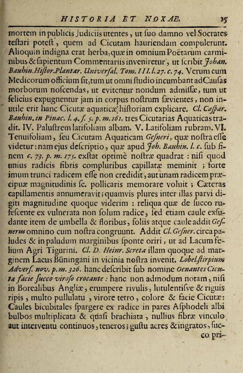 mortem in publicis Judiciis utentes, ut iuo damno vel Socrates teftari poteft , quem ad Cicutam hauriendam compulerunt* Alioqum indigna erat herba,quas in omnium Poetarum carmi¬ nibus &fapientum Commentariis inveniretur 5 ut lcribit Johan. Bauhm.Hijlor.Plantar. Univerfal. Tom. III. 1.27. c. 74. Verum cum Medicorum officium fit,tum ut omni ftudio incumbant adCaufas morborum nofcendas, ut evitentur nondum adtnilfas, tum ut felicius expugnentur jam in corpus noftrum fasvientes, non in¬ utile erit hanc Cicutas aquaticas*hiftoriam explicare. Cl. Cafar. Bauhm. in Pinae. L 4./. y. p. m. 161. tres Cicutarias Aquaticas tra¬ dit. IV. Paluftrem latifoliam albam. V. Latifoliam rubram. VI. Tenuifoliam, feu Cicutam Aquaticam Gejneri, quas noftra efls videtur: nam ejus deferiptio , quas apudj^. Bauhm. /. c. fub fi¬ nem e. 7/. p. m. /7.j. exftat optime noftras quadrat : nifi quod unius radicis fibris compluribus capillatae meminit ; forte imum trunci radicem efle non credidit, aut unam radicem pras- eipuas magnitudinis fc. pollicaris memorare voluit ; Casteras capillamentis annumeravit s quamvis plures inter illas parvi di¬ giti magnitudine quoque viderim : reliqua quas de fucco ru* fefeente ex vulnerata non folum radice, led etiam caule exfu- dante item de umbella & floribus, foliis atque caule addit Gef nerm omnino cum noftra congruunt. Addit Cl.Gefner. circa pa¬ ludes & in paludum marginibus fponte oriri, ut ad Lacum fe¬ lium Agri Tigurini. Cl. D. Heinr. Seret a illam quoque ad mar¬ ginem Lacus Bumngani in vicinia noftra invenit. Lohelfiirpium Adverf nov. p.m. 326. hanc deferibit fub nomine Oenantes Cicu~ facie fueeo virofo crocante: hanc non admodum notam, nifi in Borcalibus Anglios, erumpere rivulis, lutulcntifve & riguis ripis, multo pullulatu , virore tetro, colore & facie Cicutas: Caules bicubitales fpargere ex radice in pares Afphodeli albi bulbos multiplicata & quafi brachiata , nullius fibras vinculo aut interventu continuos, teneros sguftu acres & ingratos, fiu> I capri-