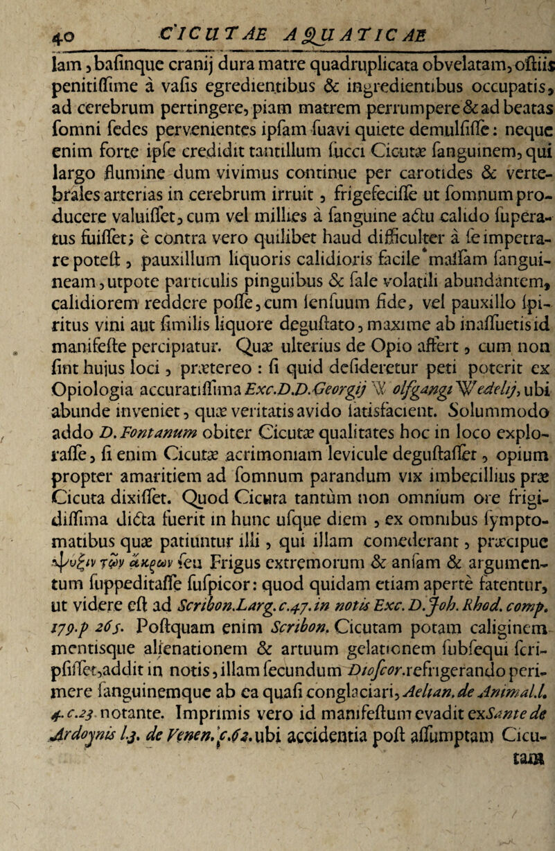 lam ,bafinque cranij dura matre quadruplicata obvelatam,oftiis penitiffime a vafis egredientibns & ingredientibus occupatis, ad cerebrum pertingere, piam matrem perrumpere & ad beatas fomni fcdes pervenientes ipfam fuavi quiete demulfifle: neque enim forte ipfe credidit tantillum fucci Cicuta fanguinem,qui largo flumine dum vivimus continue per carotides & verte¬ brales arterias in cerebrum irruit, frigefecifle ut fomnum pro¬ ducere valuiflet, cum vel millies a fanguine a£lu calido iupera- tus fuiflet; e contra vero quilibet haud difficulter a fe impetra¬ re poteft , pauxillum liquoris calidioris facile‘mallam fangui- neam,utpote particulis pinguibus & fale volatili abundantem, calidiorem reddere pofle,cum ieniuum fide, vel pauxillo ipi- ritus vini aut fimilis liquore deguftato, maxime ab inafluetisid manifefte percipiatur. Quas ulterius de Opio affert, cum non fint hujus loci, pnetereo : fi quid defideretur peti poterit ex Opiologia accurat lffima Exc.D.D.Georgij W olfgangt ede hj, ubi abunde inveniet, quas veritatis avido iatisfacient. Solummodo addo D. Fontanum obiter Cicutas qualitates hoc in loco expio- rafle, fi enim Cicutae acrimoniam levicule deguftaffet, opium propter amaritiem ad fomnum parandum vix imbecillius pras Cicuta dixiflet. Quod Cicura tantum non omnium ore frigi- diffima difta fuerit in hunc ufque diem , ex omnibus iympto- matibus quas patiuntur illi, qui illam comederant, praecipue ipvgw r£y uxguv feu Frigus extremorum & aniam & argumen¬ tum fuppeditaffe fufpicor: quod quidam etiam aperte fatentur, ut videre cfl: ad Scnbon.Larg. c.^j. in notij Ex e. D.job. Rhod. comp» ijg.f 26s. Poftquam enim Scribon. Cicutam potam caliginem mentisque alienationem & artuum gelationem fubfequi feri- pfrffet,addit in notis,illam (ecundum /)/^r.refngerando peri¬ mere languinemque ab ca quafi cov\$dcnx\-> Aeltan.de Animal.L 4.C.23 notante. Imprimis vero id manifeftumevaditexSantede Jrdoyn&s l.j. de Venen. fAi.ubi accidentia poft affiimptam Cicu-