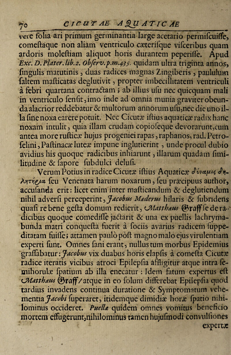 vere folia ari primum germinantia large acetario permifeuifle, comeftaque non aliam ventriculo caeterifque vifceribus quam ardoris moleftiam aliquot horis durantem peperiffe. Apud Exc,D.PlaterAib.2. obferv.p.m.&s- quidam ultra triginta annos, fingulis matutinis, duas radices magnas Zingiberis , paululum faltem mafticatas deglutivit, propter imbecillitatem ventriculi a febri quartana contradam ; ab illius ufu nec quicquam mali in ventriculo fen(it,imo inde ad omnia munia graviter obeunt da alacrior reddebatur & multorum annorum ufu,nec die uno il¬ la fine noxa carere potu it Nec Cicuta? iftius aquatica? radix hanc noxam intulit, quia illam crudam copiofeque devorarunt,cum antea morerufticae hujus progeniei rapas, raphanos, rad.Petro- felini, Paftinacae luteae impune inglutierint, unde procul dubio avidius his quoque radicibus inhiarunt, illarum quadam fimi- litudine & fapore fubdulci delufi. Verum Potius in radice Cicutae iftius Aquatica Jvvupit £1- hyjTYie/ct feu Venenata harum noxarum, feu praecipuus author, accufanda erit: licet enim inter mafticandum & deglutiendum nihil adverfi perceperint ^Jacobu* M*derns hilaris & fubridens quafi re bene gefta domum redierit, cJMattb&us @5rufffe de ra¬ dicibus quoque comedifle jadarit & una ex puellis lachryma- bunda matri conquefta fuerit a fociis avarius radicem fuppe- ditatam fuifte; attamen paulo poft magno malo ejus virulentiam experti funt. Omnes fani erant, nullus tum morbus Epidemius graffabatur \Jacobus vix duabus horis elapfis a comefta Cicuta radice iteratis vicibus atroci Epilepfia affligitur atque intra fe- mihorulae fpatium ab illa enecatur : Idem fatum expertus eft fj\iatth<eus ©raff/atque in eo folum differebat Epilepfia quod tardius invadens continua duratione & Symptomatum vehe- mentiz faobi fuperaret, itidemque dimidia? horae fpatio nihi¬ lominus occideret. PuelU quidem omnes vomitus beneficio mortem effugerunt,nihilominus tamen hujufmodi convulfiones * 7 ■ < 1 expertae