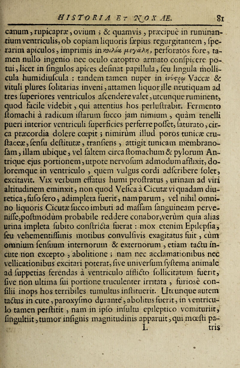 canum,rupicaprae,ovium i & quamvis, praecipue in ruminan¬ tium ventriculis, ob copiam liquoris &pius regurgitantem, fpe- rarim apiculos, imprimis in^Aw* peydM> perforatos fore, ta¬ men nullo ingenio nec oculo catoptro armato confpicere po¬ tui, licet in fingulos apices delinat papillula, feu lingula molli¬ cula humidiufcula : tandem tamen nuper in ivv?%u> Vaccae & vituli plures folitarias inveni, attamen liquor ille neutiquam ad tres fuperiores ventriculos afcenderevalet ,utcunqueruminent, quod facile videbit, qui attentius hos perluftrabit. Fermento ftomachi a radicum iftarum fucco jam nimium , quam tenelli pueri interior ventriculi fuperficies perferre pollet, faturato, cir¬ ca praecordia dolere coepit i nimirum illud poros tunicae cru- ftacex,fenfu dcftituta?, tranfiens, attigit tunicam membrano- fam, illam ubique, vel faltcm circa ftomachum & pylorum An¬ trique ejus portionem, utpote nervofum admodum afflixit, do¬ loremque in ventriculo , quem vulgus cordi adfcrihere folet, excitavit. Vix verbum effatus humi proftratus, urinam ad viri altitudinem eminxit, non quod Vefica a Cicuta vi quadam diu¬ retica, fu fo fero, adimpleta fuerit, nam parum, vel nihil omni¬ no liquoris Cicutae fucco imbuti ad maffam fanguineam perve- niflfcjpoftmodum probabile reddere conabor,verum quia alias urina impleta fubito conftri&a fuerat: mox etenim Epilepfia, feu vehementiffimis motibus convulfivis exagitatus fuit, cum omnium fenfuum internorum & externorum , etiam ta&u in¬ cute non excepto , abolitione ; nam nec acclamationibus nec vellicationibus excitari poterat, five univerfumfyftema animale ad fuppetias ferendas a ventriculo afflifto follicitatum fuerit, five non ultima fui portione truculenter irritata , furiose con- filii inops hos terribiles tumultus inftituerit. Utcunque autem ta&us in cute, paroxyfmo durante, abolitus fuerit, in ventricu¬ lo tamen perftitit , nam in ipfo infultu epileptico vomituriit, fingultiit,tumor infignis magnitudinis apparuit,qui moefti pa~ L tris