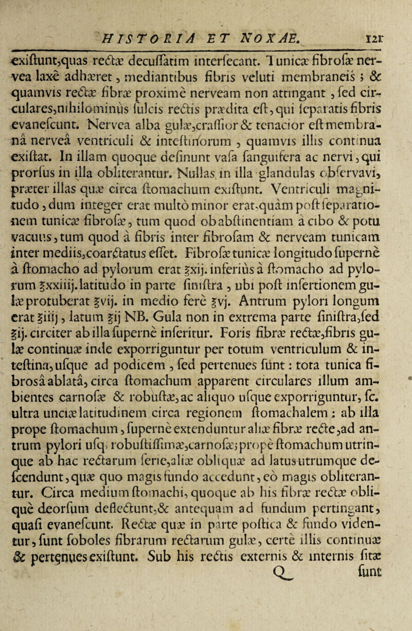 exiftunt?quas redae deculfatim interiecant. Tunicae fibrofae ner- vea laxe adhaeret ? mediantibus fibris vcluti membraneis > & quamvis reda fibra proxime nerveam non attingant ? fed cir-r culares?nihilominus fulcis redis pradita eft?qui icparatis fibris evanefcunt. Nervca alba gulae?craflior& tenacior eftmembra¬ na nervea ventriculi & inteftirforum ? quamvis illis continua exi fiat. In illam quoque definunt vafa fanguifera ac nervi? qui prorfus in illa obliterantur. Nullas in illa glandulas ojbfervavi? praeter illas qme drea fiomachum exiftunt. Ventriculi magni¬ tudo 3 dum integer erat multo minor eraoquampoftleparatio- nern tunicae fibrofe? tum quod obabftinentiam a cibo & potu vacuus 3 tum quod a fibris inter fibrofam & nerveam tunicam inter mediis?coardatus effet. Fibrofee tunica? longitudo fuperne a ftomacho ad pylorum erat |xij. inferius a ftomacho ad pylo¬ rum fxxiiij.latitudo in parte finiftra ? ubi poft infertionem gu¬ lae protuberat §vij. in medio fere £vj. Antrum pylori longum erat ?iii) ? latum fij NB. Gula non in extrema parte finiftra?led §ij. circiter abillafuperne inferitur. Foris fibrae redae?fibris gu¬ lae continuae inde exporriguntur per totum ventriculum & in- teftina?ufque ad podicem 5 fed pertenues funt: tota tunica fi¬ brosa ablata? circa fiomachum apparent circulares illum am¬ bientes carnofae & robiiftae? ac aliquo ufque exporriguntur, fc* ultra unciae latitudinem circa regionem ftomachalem; ab illa prope fiomachum ? fuperne extenduntur aliae fibrae rede?ad an¬ trum pylori ufq, robuftiffimae?carnofaej prope fiomachum utrin- que ab hac redarum ferie5aliae obliquae ad latus utrumque de- fcendunt?quae quo magis fundo accedunt? eo magis obliteran¬ tur. Circa medium ftomachi? quoque ab his fibra: redae obli¬ que deorfum defledunt?& antequam ad fundum pertingant? quafi evanefeunt. Redae quee in parte poftica & fundo viden¬ tur? funt foboles fibrarum redarum gulae? certe illis continuae & pertenues exiftunt. Sub his redis externis & internis fitae K:; . - funt