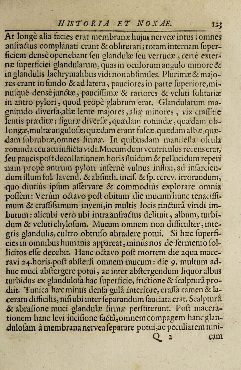 At longe alia facies erat membrana? hujus nervea? intus > omnes anfra&us complanati erant & obliterati; totam internam fuper- ficiem dense operiebant feu glandula? feu verruca? , certe exter¬ na? fuperficiei glandularum, quas in oculorum angulo minore & in glandulis lachrymalibus vidi non abfimiles, Plurima? & majo¬ res erant infundo & ad latera, pauciores in parte fuperiore,mi- nufque densejun&a?, pauciffima? & rariores & veluti folitarix in antro pylori, quod prope glabrum erat. Glandularum ma¬ gnitudo diverfa,alix lente majores,alia? minores, vix craffitie lentis prxditx, figura? dfverfo?,quxdam rotundx, quxdam cb- longx,mu!txangulofx; quxdam erant fufcx,quxdam albx,qux¬ dam fubrubrx,omnes firmx. In quibusdam maniiefla ofcula rotunda ceu acu inflida vidi.Mucum dum ventriculus rei ens erat, feu paucispoftdecollationem horis fluidum & pellucidum reperi fiam prope antrum pylori inferne vulnus inflixi, ad infarcien¬ dum illum fol. lavend. & abfinth. incif. & fp. cerev. irrorandum, quo diutius ipfum aflervare & commodius explorare omnia poflcm: Verum odavo poft obitum die mucum hunc tenaciffi- mum & craffifsimum inveni,in multis locis tindura viridi im¬ butum : alicubi vero ubi intraanfradus delituit, album, turbi¬ dum & velutichylofum. Mucum omnem non difficulter,inte¬ gris glandulis,cultro obtrufo abradere potui. Si hxc fuperfi- ciesin omnibus humanis appareat, minus nos de fermento fol- licitos effle decebit. Hanc odavo poft mortem die aqua mace¬ ravi 24.horis,poft abfterfi omnem mucum: die 9. multum ad¬ huc muci abftergere potui, ac inter abftergendum liquor albus turbidus ex glandulofa hac fuperficie, fridfione &fcalpturapro¬ diit. Tunica hxc minus denla gula interiore, crafta tamen & la¬ ceratu difficilis, nifi ubi inter feparandum fauuata erat. Scalptura & abrafionc muci glandula? firma? perftiterunt, Poft macera¬ tionem hanc levi incilione fada,omnemcompagem hancglan- dulofam a membrana nervea feparare potui,ac peculiarem tuni- 2 cam