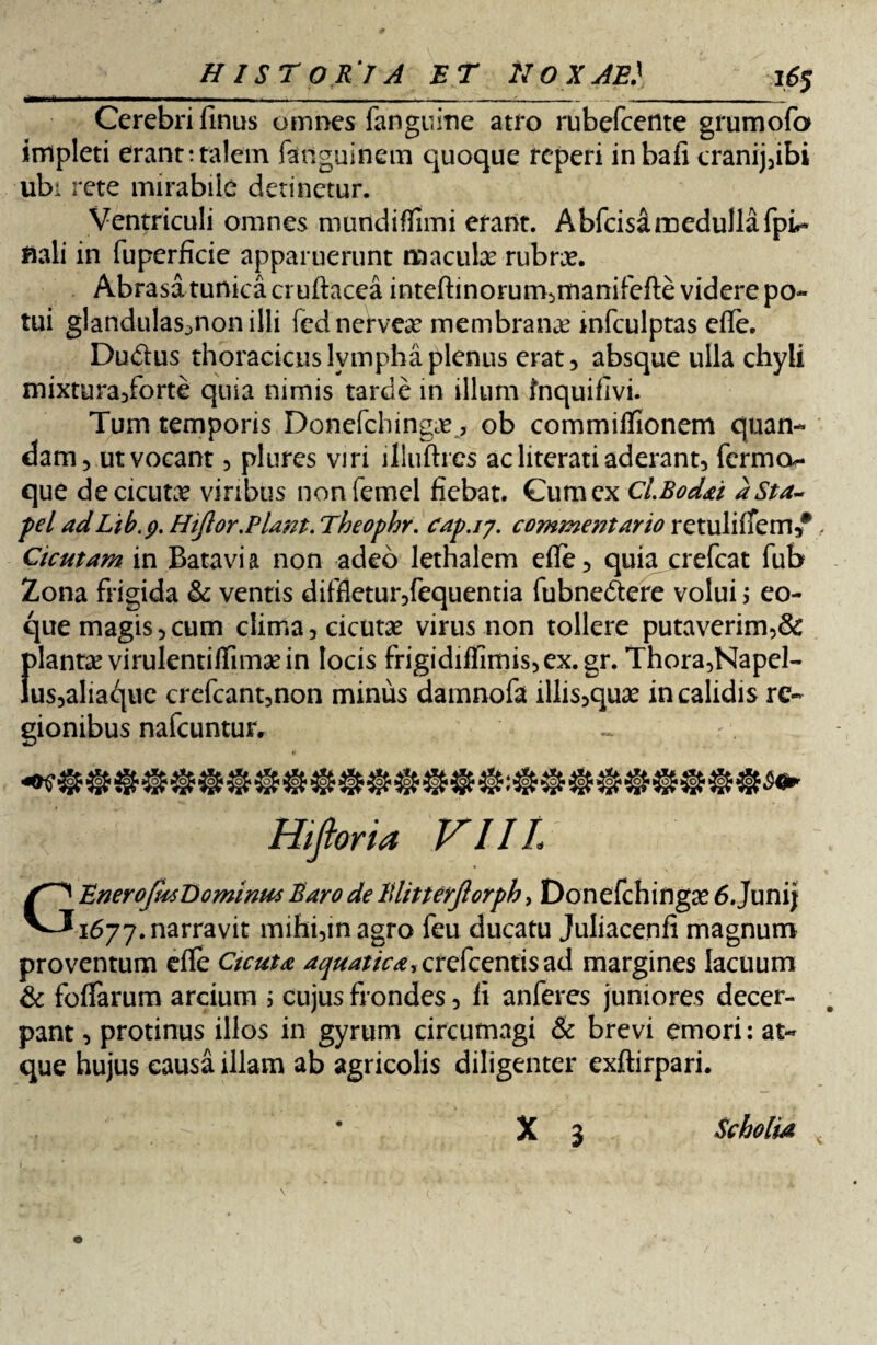 __ 16; Cerebri finus omnes fanguine atro rubefcente grumofa impleti erant:talem fanguinem quoque teperi inbafi cranij,ibi ubi rete mirabile detinetur. Ventriculi omnes muridiflimi erant. A bfcisi medulla fpi* nali in fuperficie apparuerunt m acute rubra?. Abrasa tunica cruftacea inteftinorum,rnanifefte videre po¬ tui glandulas^nonilli fednervea? membrana mfculptas elle. Dudlus thoracicus lympha plenus erat 5 absque ulla chyli mixtura/orte quia nimis tarde in illum fnquifivi. Tum temporis Donefchingae, ob commiffionem quan- dam, ut vocant, plures viri illuftres ac literati aderant, fermo*- que de cicuta? viribus nonfemel fiebat. Cum ex Cl.Bodai aSta~ pel adLtb.p. Hijlor.Piant. Theophr. cap.iy. commentario retulilfem/ Cicutam in Batavi a non adeo lethalem efle, quiacrefcat fub Zona frigida & ventis diffletur,fequentia fubne&ere volui j eo- que magis, cum clima, cicutae virus non tollere putaverim,& f>lanravirulentiffimadn locis frigidiffimis, ex.gr. Thora,Napel- us,alia^ue crefcant,non minus damnofa illis,qua? in calidis re¬ gionibus nafcuntur. Hifioria VIIL GEneroJksDominus Baro de Blitterjlorpb, Donefchinga? 6.Junij 1677. narravit mihi,in agro feu ducatu Juliacenfi magnum proventum elfe Cicuta aquatica,crefcentis ad margines lacuum & foliarum arcium i cujus frondes, fi anferes juniores decer¬ pant , protinus illos in gyrum circumagi & brevi emori: at¬ que hujus causa illam ab agricolis diligenter exftirpari.