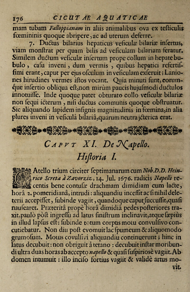 mam tubam Falloppianam in aliis animalibus ova ex tefticulis foemininis quoque abripere,ac ad uterum deferre. 7. Du&us bilarius hepaticus veficulae bilariae infertus, viam monftrat per quam bilis ad veficulam biiariam feratur. Similem du&um veficuke infertum prope collum in hepate bu¬ bulo , cafu inveni, dum vermis , quibus hepatici refertif- fimi erant,caput per ejus ofculum in veficulam exferuit; Lanio¬ nes hirudines vermes iftos vocant. Quia minuti funt,eorum- que infertio obliqua eft,non mirum paucis hujufmodi du&ulos innotuifle. Inde quoque patet obturato collo vcficute bilariae non fequi i&erum , mfi du&us communis quoque obftruatur. Sic aliquando lapidem infignis magnitudinis in foemina,in alia plures inveni in veficula bilaria,quarum neutra jderica erat. Capv t XI. De J^Qapelio. ' Hijloria /. Atello trium circiter feptimanarumcumiV^.Z).D.i7c/>^ rico Screta aZavorziz,514. Jul. 1676. radicis Napelli re¬ centis benecontufie drachmam dimidiam cum ladte, hora 2. pomeridiana, intrudi :aliquandiu inceffitacfinihildele- terii accepiflet, fubinde vagiit, quandoque caput fuccuflit,quafi naufearet. Praeterita prope hora dimidia pedes pofteriores tra¬ xit,paulo poft ingreftu ad latus finiftrum inclinavit,atquefaepius in illud lapfus eft: fubinde totum corpus motu convulfivo con¬ cutiebatur. Non diu poft evomuit lac fpumeum&aliquomodo grumofum. Motus covulfivi aliquandiu continuerunt; hinc in latus decubuit: non obriguit a tetano : decubuit inftar moribun¬ di ultra duas horas ab accepto napello & quali fufpiriose vagiit. Ab domen intumuit: illo incifo fortius vagiit & valide artus mo- /