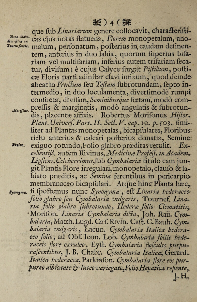 I I ) 4 C Mota thdr-a- que fub Linariarum genere collocavit, chara&erifti- ncr fiiea eK cas ejus notas datuens, Florem monopetalum, ano- Tnmcfirth. malum, perfonatum, pofterius in,caudam delinen¬ tem, anterius in duo labia, quorum fuperius bifa¬ riam vel multifariam , inferius autem trifariam feca- tur, divifum; e cujus Calyce furgat Pijlillum, podi- cse Floris parti adindar clavi infixum, quod deinde abeat in FruBum feu Tejlam fubrotundam, fepto in¬ termedio, in duo loculamenta, diverfimode rumpi confueta, <Sivifam,Seminibusque foetam, modo com- preffis & marginatis, modo angulatis & fubrotun- dis, placentae affixis. Robertus Morifonus Hiftor. Piant. Univerf Part♦ IL SeB. V. cap. i o. p. f 03.. fimi— liter ad Plantas monopetalas, bicapfulares, Floribus ri£fu anterius & calcari poderius donatis, Semine m*in9> exiguo rotundo,Folio glabro prseditas retulit. Ex- cellentifi, autem Rivinus, Medichue Profejf in deadem*. Lipfiens, Celeberrimus,(ub Cymbalaria titulo eam jun- JUoriJono. git.Plantis Flore irregulari, monopetalo,claufo &:la- biato prseditis, ac Semina ferentibus in pericarpio membranaceo bicapfularL Atque hinc Planta haec* fywnym*. Ii fpe£femus nunc Synonyma , ed Linaria hederaceo folio glabro feu Cymbalaria vulgaris, Tournef. Lina¬ ria folio glabro fubrotundo, Hedera folio Clematitis9 •Morifon. Linaria Cymb alaria diBa, Joh. Raii. Cym¬ balaria, Matth. Lugd. Csef. Rivin. Cad. C. Bauh. Cym- balari a vulgaris, Lacun. Cymb alaria Italica hedera¬ ceo folio, ad Obfi Icon. Lob. Cymbalaria foliis hede¬ raceis flore caeruleoy Eyd. Cymbalaria flojculis purpu- rajcentihus, J. B. Chabr. Cymbalaria Italica, Gerar do Italica hederacea, Parkinfon. Cymbalaria flore eccpur¬ pureo albicante & luteo variegatofQliQ,rHegatictf repente^ J*Ha