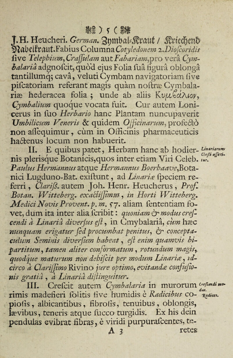 J.H. Heucheri. German. 3t)mbal^rauf / $necf)eti& 5fiabeifraut.Fabius Columna Cotyledonem z.DioJcoridis live Telephium, Crajfulam autFabariam,pro vera Cym- balarid adgnofcit, quoti ejus Folia fua figura oblonga tantillumq; cava, veluti Cymbam navigatoriam fi ve pileatoriam referant magis quam note Cymbala- rm hederacea folia ; unde ab aliis KvfJi£oiAioy> Cymbalium quoque vocata fuit. Cur autem Loni- cerus in fuo Herbario hanc Plantam nuncupaverit Umbilicum Veneris & quidem Officinarum, profeci 6 non afiequimur, cum in Officinis pharmaceuticis ha£tenus locum non habuerit. II. E quibus patet, Herbam hanc ab hodier- . * • r , * • - , . ^ , , CldfiAjftn- ms plensque Botanicis,quos inter etiam iri Celeb. tur. Paulus Hermannus atque Hermannus Boerbaave,Bota¬ nici Lugduno-Bat. exiftunt, ad Linaria lpeciem re¬ ferri , Clariji. autem Joh. Henr. Heucherus, Prof, Botan. Witteberg. exaciijjimm, in Horti Witteberg. Medici Novis Provent, p, m; ^7. aliam fententiam fo¬ vet, dum ita inter alia feribit: quoniam & modus cref- cendi a Linar id diverfus ejl, in Cmybalaria, cum haec nunquam erigatur Jed procumbat penitus, & concepta¬ culum Seminis diverfum habeat, ejl enim quamvis bi¬ partitum , tamen aliter conformatum , rotundum magis, quodque maturum non dehifeit per modum Linarie, id¬ circo a Clarijjimo Rivino jure optimo, evitanda confujio- nis gratia , a Linarid difinguitur. III. Crefcit autem Cymbalaria in murorum Cfjfcend*mt* rimis madefieri folitis live humidis e Radicibus co- piofis, albicantibus, fibrofis, tenuibus, oblongis, laevibus, teneris atque fucco turgidis. Ex his dein pendulas evibrat fibras, e viridi purpurafeentes, te- A 3 retes