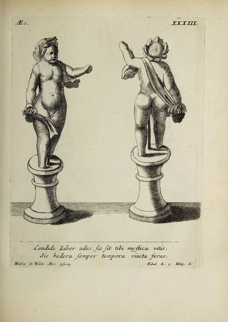 Candide Stoer ades. /ic Jet liht my/tica vitis, Sic hedera ferry? er tempora vincla Jêras. JbflCarieL de TV ilde -f£Lri- ucfcï rip . XEs. XXXIII.