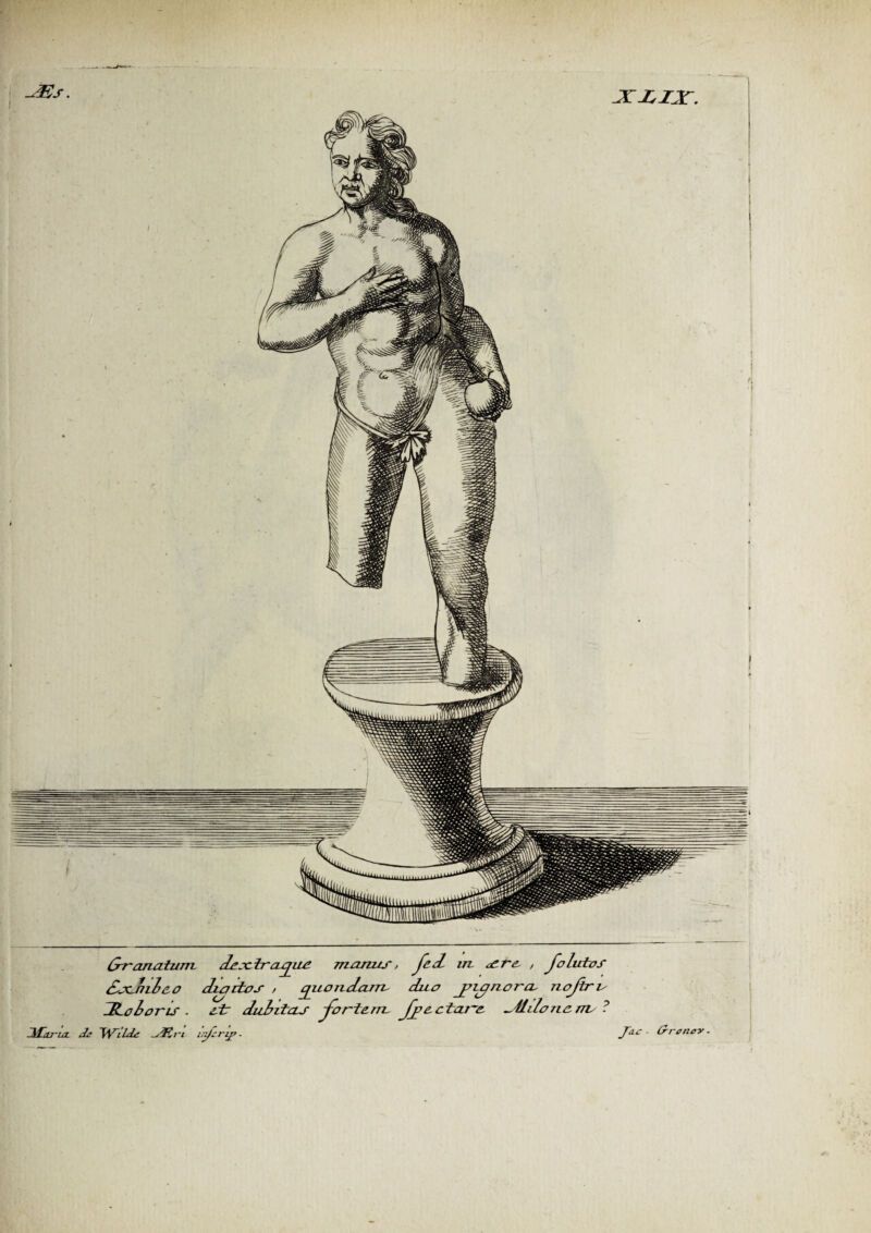 xzzr, Or anatum des: ïraqiut manus, Jed m s re , j,o lutos SacJiilco chartos , quondam duo jncfnora- nojtru dLohoris . str duhitas jorlern Jfcctano ~HilorL0 77i/ ? Ih£aj-uL dn Wild* in/crip - J~a.c - Cr reno