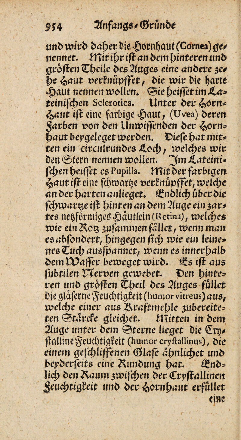 5 y 4 Slttfangs * GStünbt unD wirb bapet Die Jpotnbaut (Cornea) ge* nennet. Ulit i(?r ifl an Dem Hinteren unb gropen Cfjeile Des 3iugea eine anbere je* J)e »erf nupffet, Die wir Die f)arte •fyaüt nenne» wollen* ©ie (jeiffetimJla» teinifcpen Sderotica. Unter Der &orn* &aut tp eine farbige ■föaut, (Uvea) Deren färben non Den Unwiffenben Der &orn* txmt bepgekget werben. Diefc t)at mit* ten ein ctrcnlrimDes 4.od>, welches wir Den @tern nennen wollen. Lateini» feiert J>eif|trt esPupilia. UTit Der farbigen ^autißem fcbroarlp »erfnupffet, welche an Der Ratten anlieget. J£nb!icf> über Die fHjwarge ift hinten an Dem 2iuge ein jar* tes nebförmigeg ^äutlein (Retina), welkes wie ein&og julammen fallet, wenn man esabfonbert, hingegen ftef» wie ein leine» itesCucjjausfpannet, wenn es innerhalb Dem Küaffer beweget witD. iß aus fubtilen rferpen gewebet. Den fjinte* ren unb grdfien <E(>eil Des 3luges füllet Pie glafernc $eud)tig£eit (hurnor vitreus) aus, welche einer aus Äraftmefile jubereite* ten ©tdrefe gleistet- Ulitten in Dem 2luge unter Dem ©terne lieget Die (Erp* palline§eud)tigfeit (hurnor cryftallinus), Die einem gefcfyliffenen (Slafe äbnlidjet unD bepberpits eine 3^unbung {>at. i£nb= liep Den Äaum 3Wippen Der (CtpßaUinen $eud)tigieit unD Der faempaut erfüllet eine I