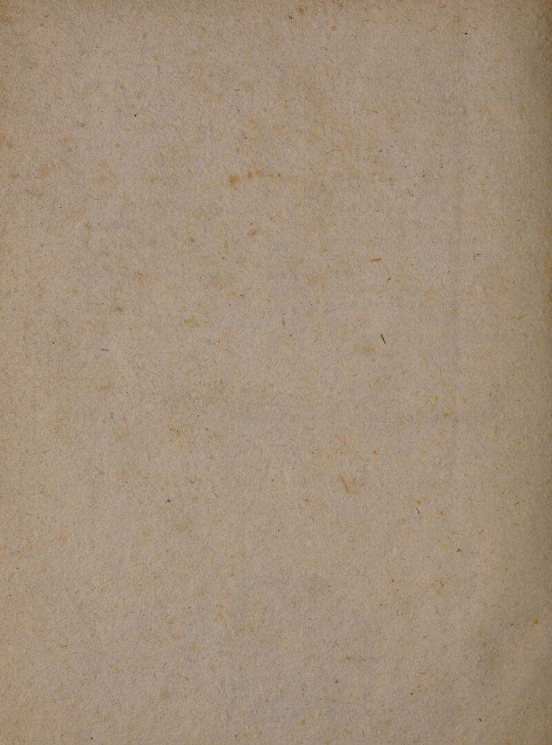 RER Pa ıS: TR Ne L En EN Bek N vo BR f,