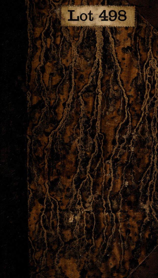 No text description is available for this image